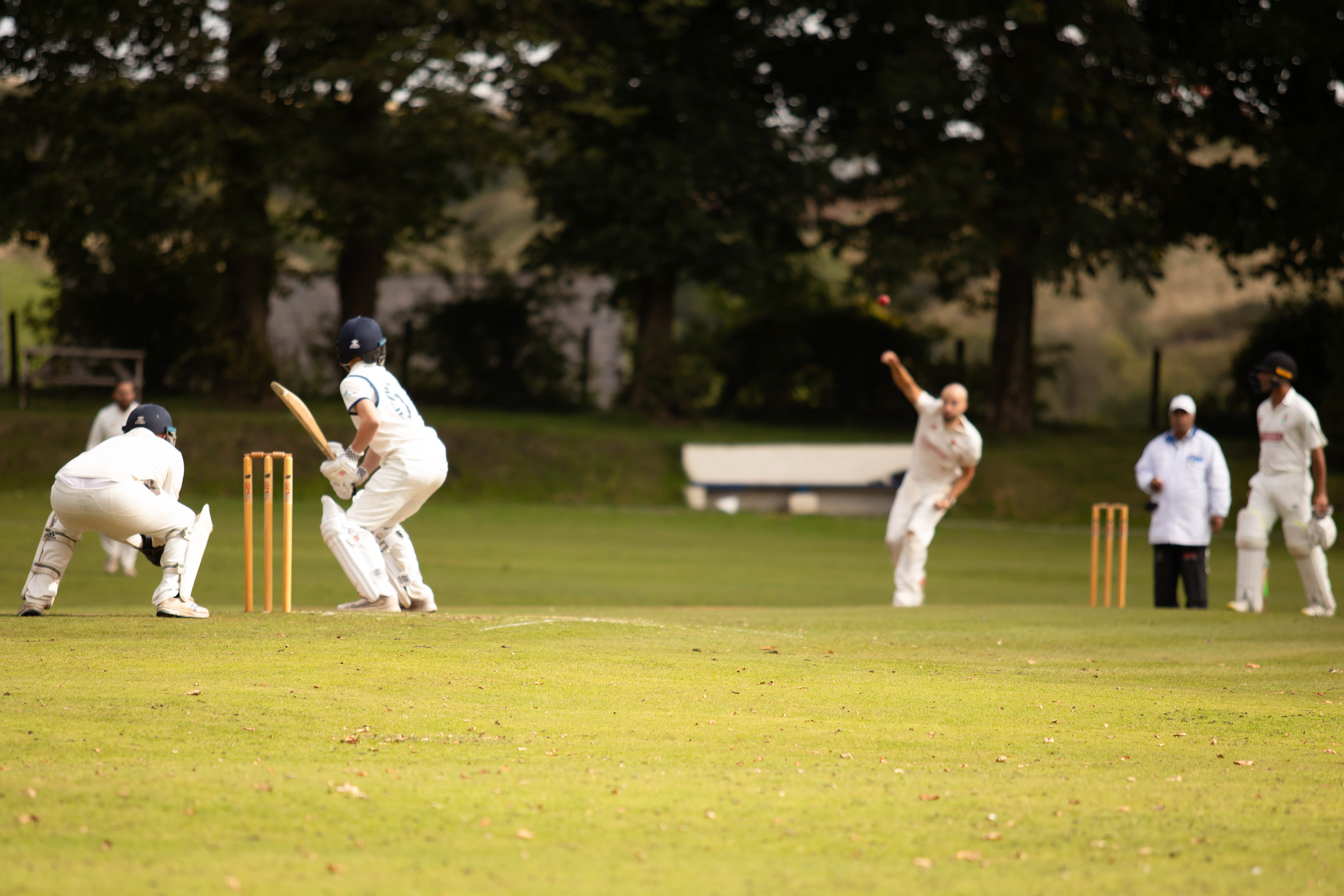 EDGWORTH CC V WOODBANK CC