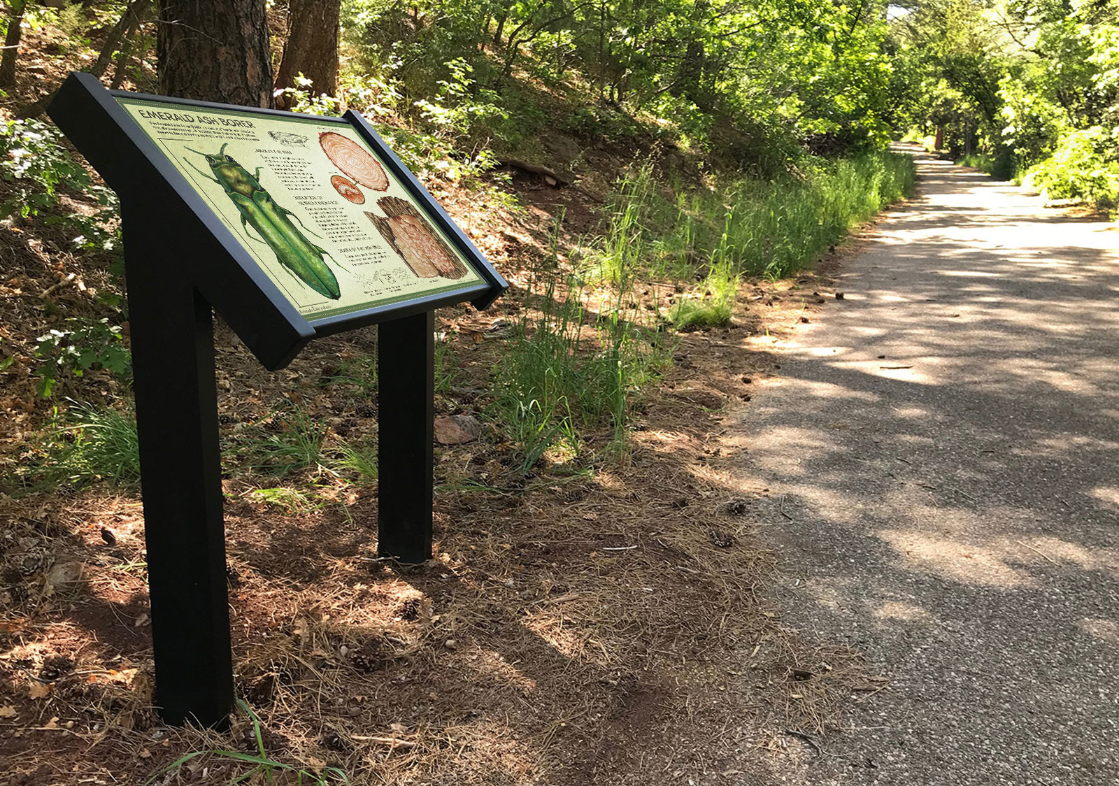 http://sightworksexhibits.com/interpretive-trails/