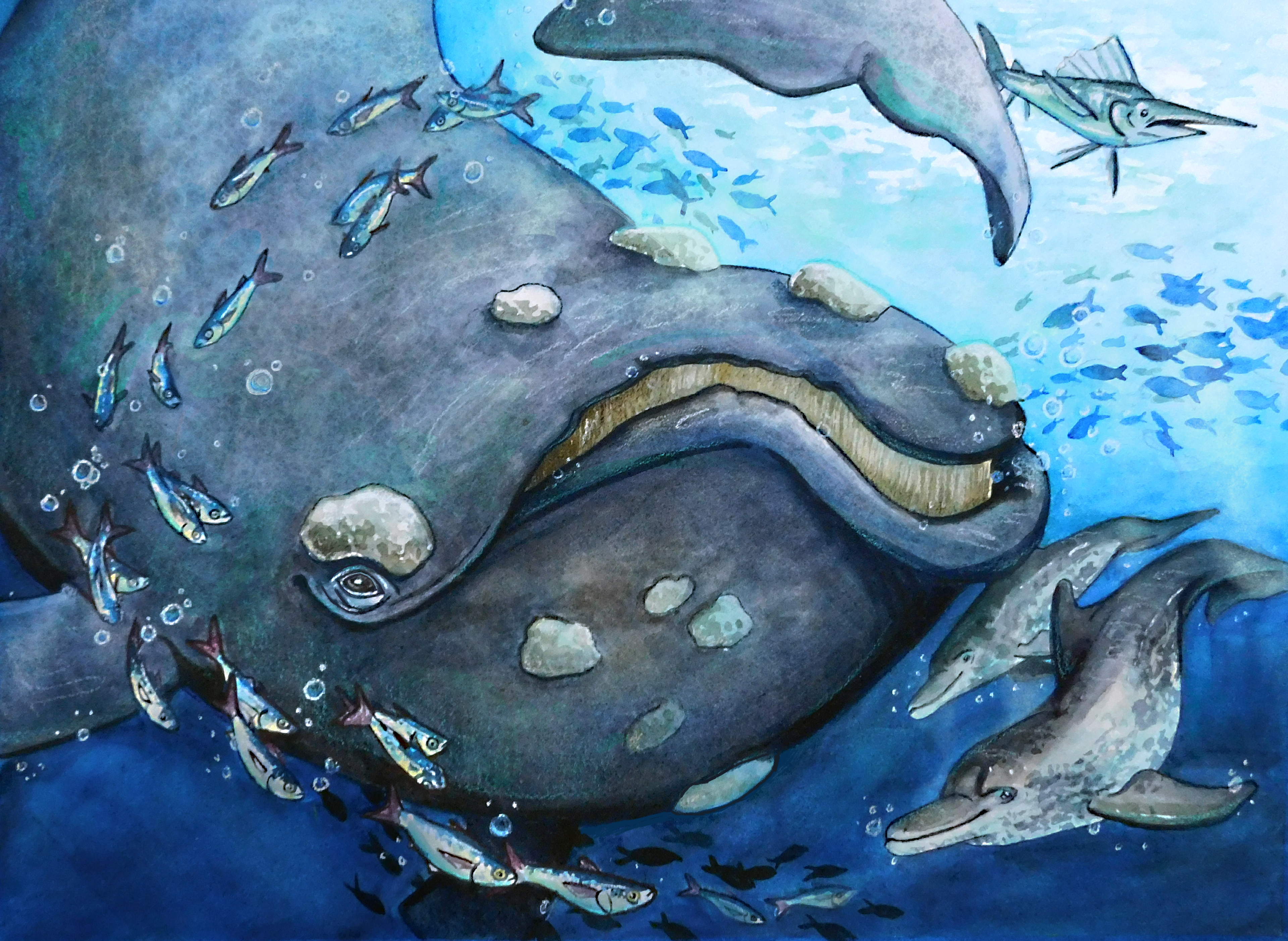 Eastern Ocean