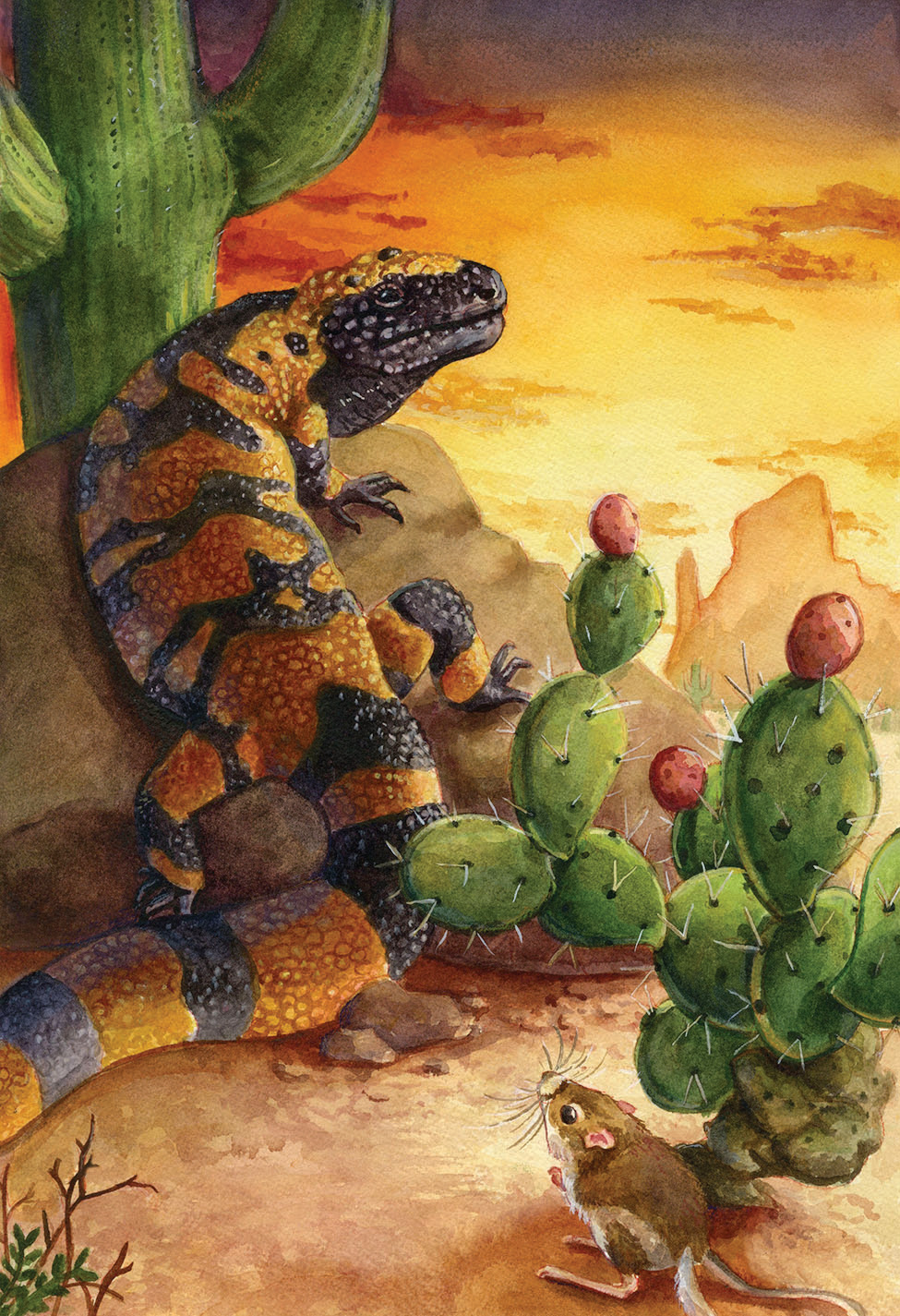 Southwest Desert