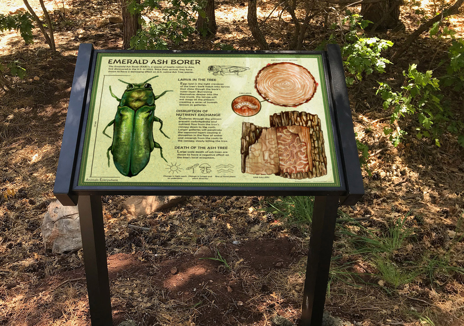 Photo Credit http://sightworksexhibits.com/interpretive-trails/