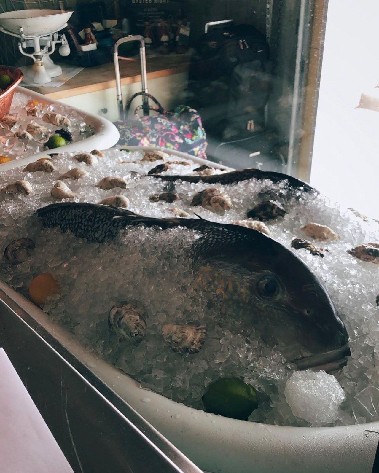 Stiltsville Fish Bar 19'