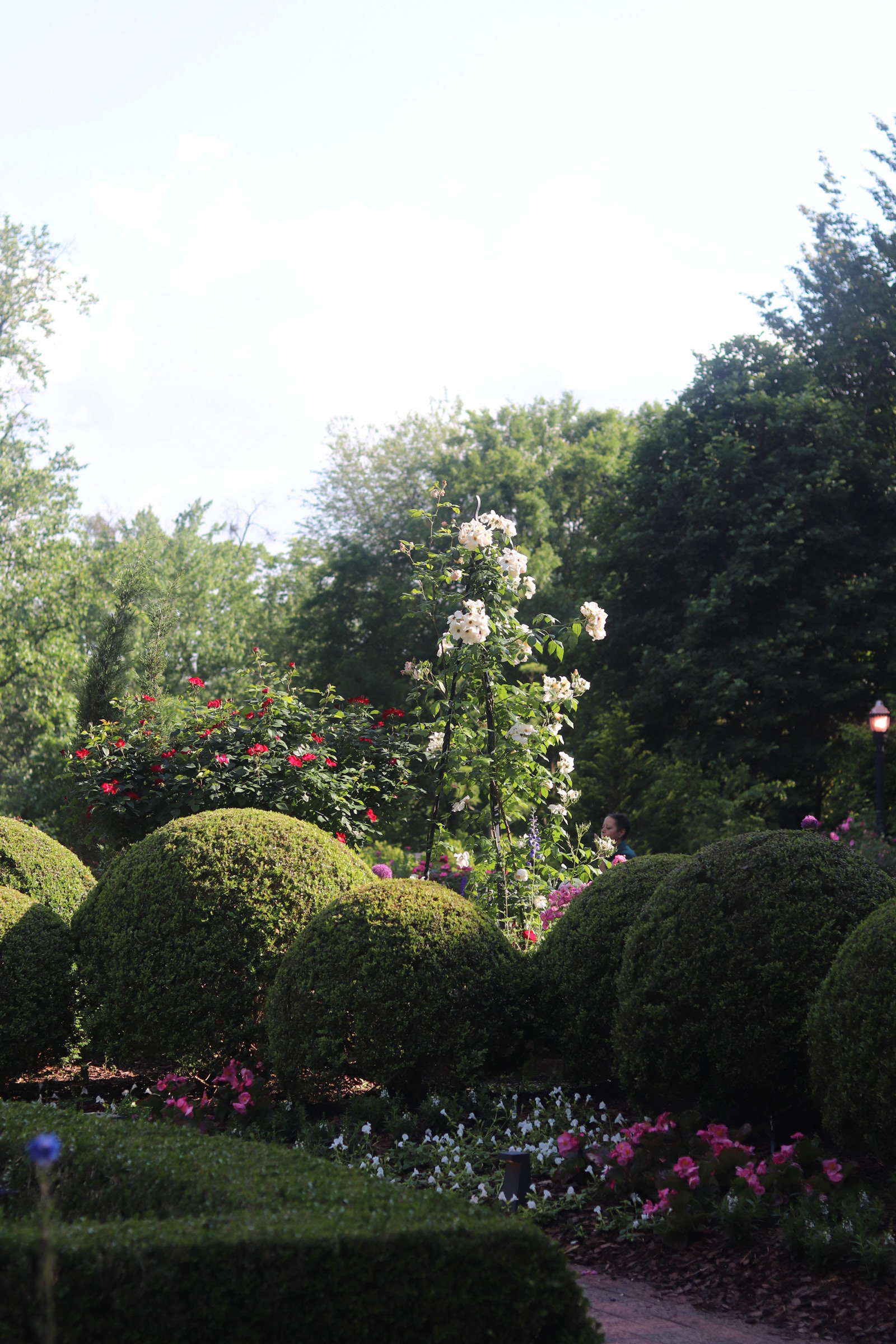 Atlanta Botanical Garden 25'