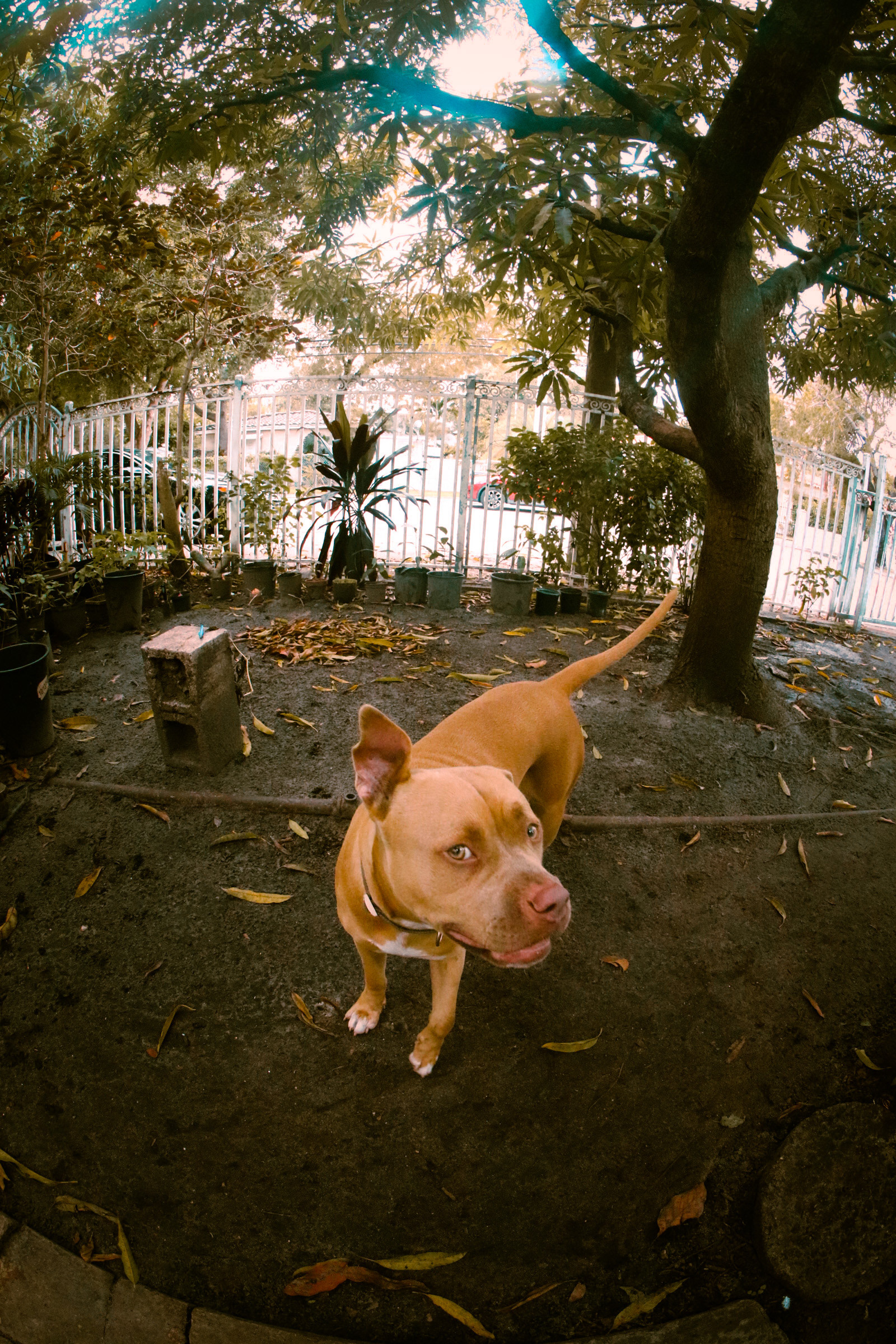 Zoey 24'