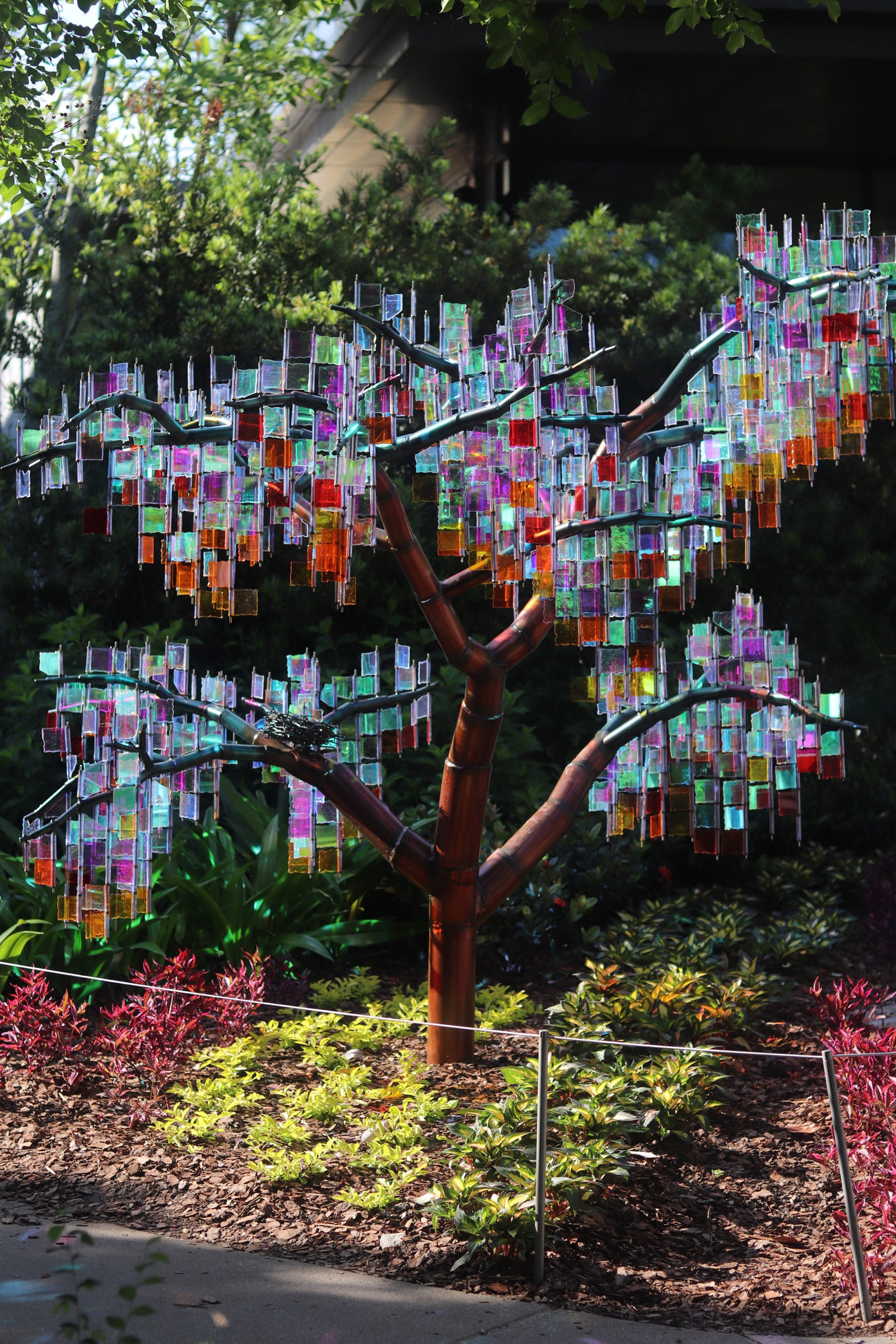 "Enchanted Trees" 25'