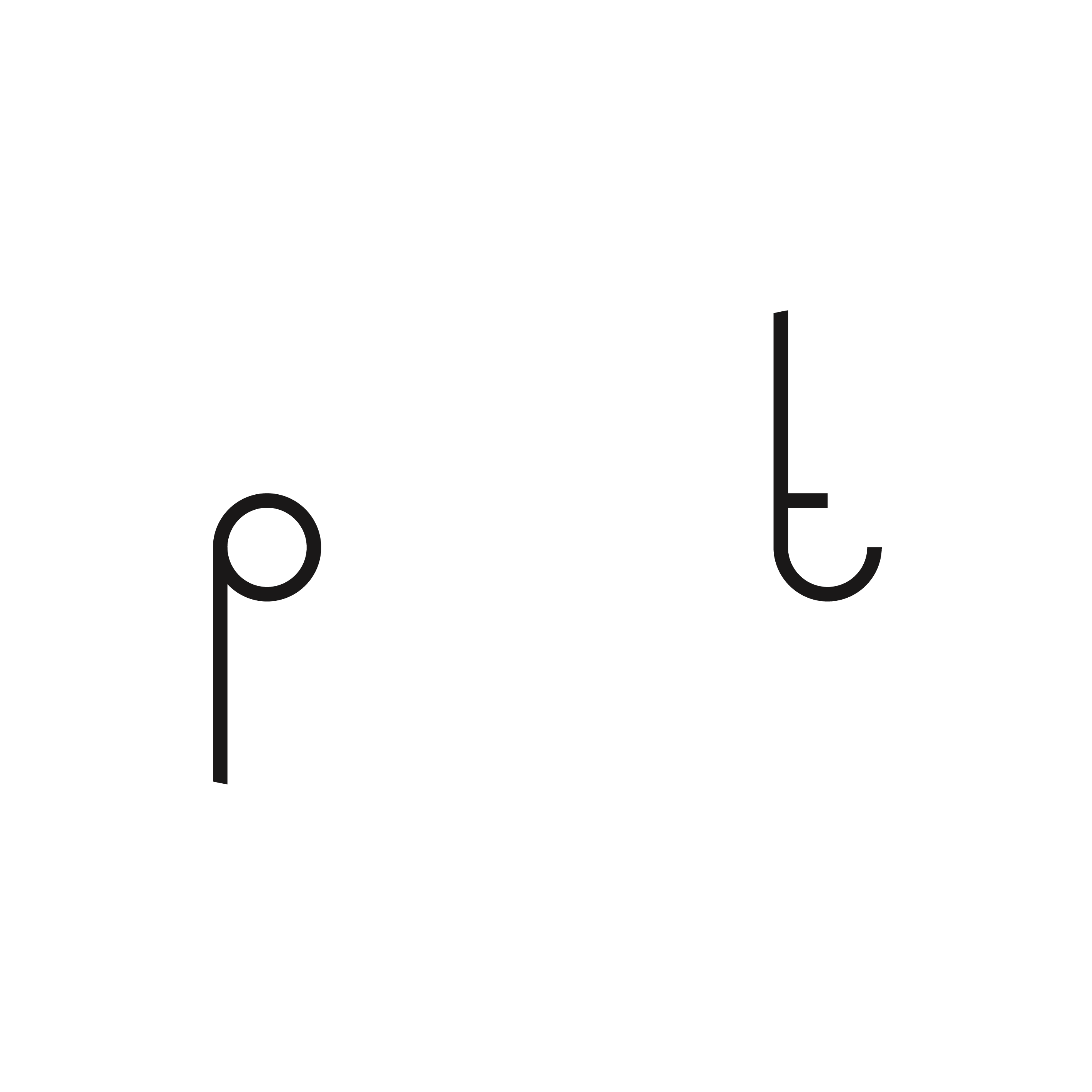 Praktypes