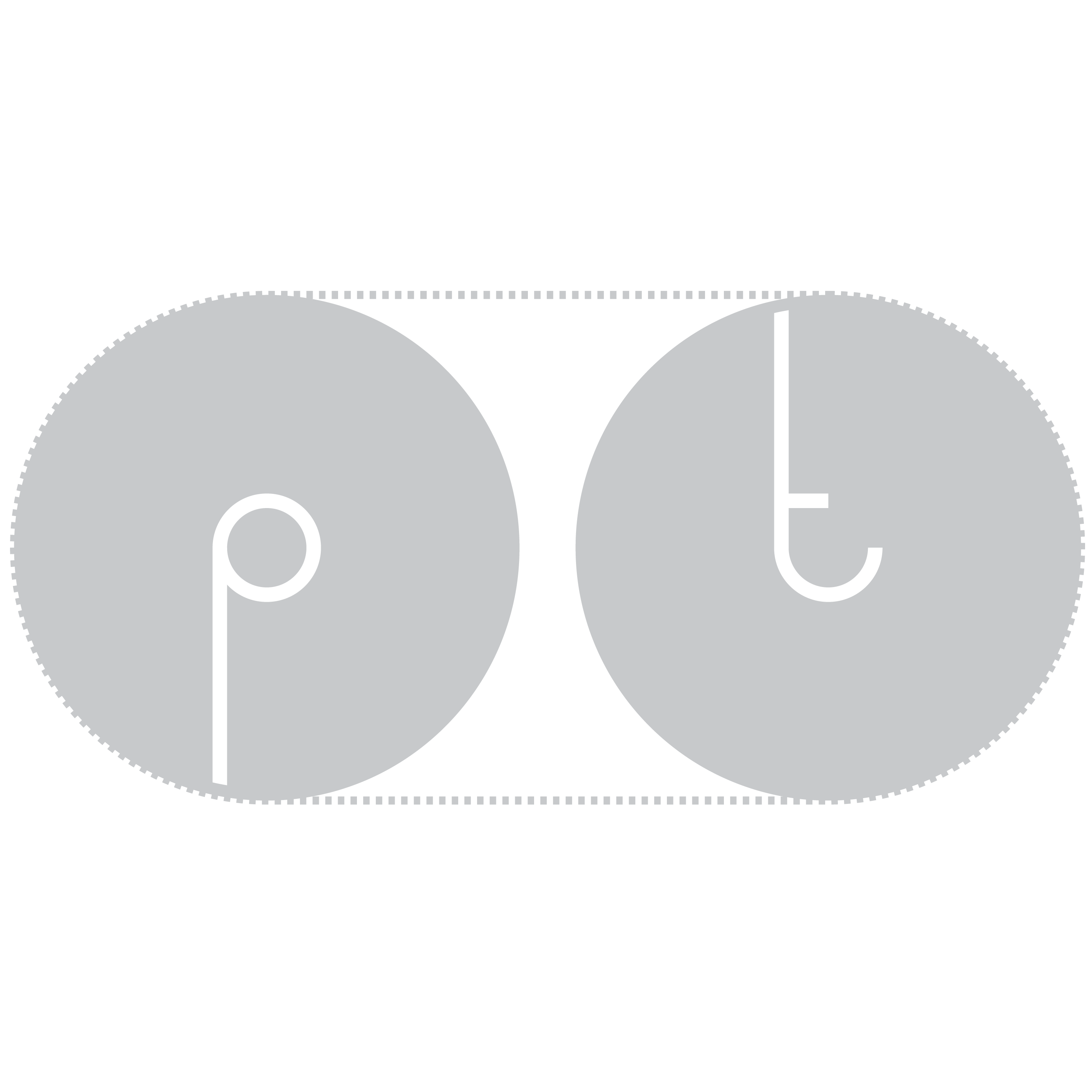 Praktypes