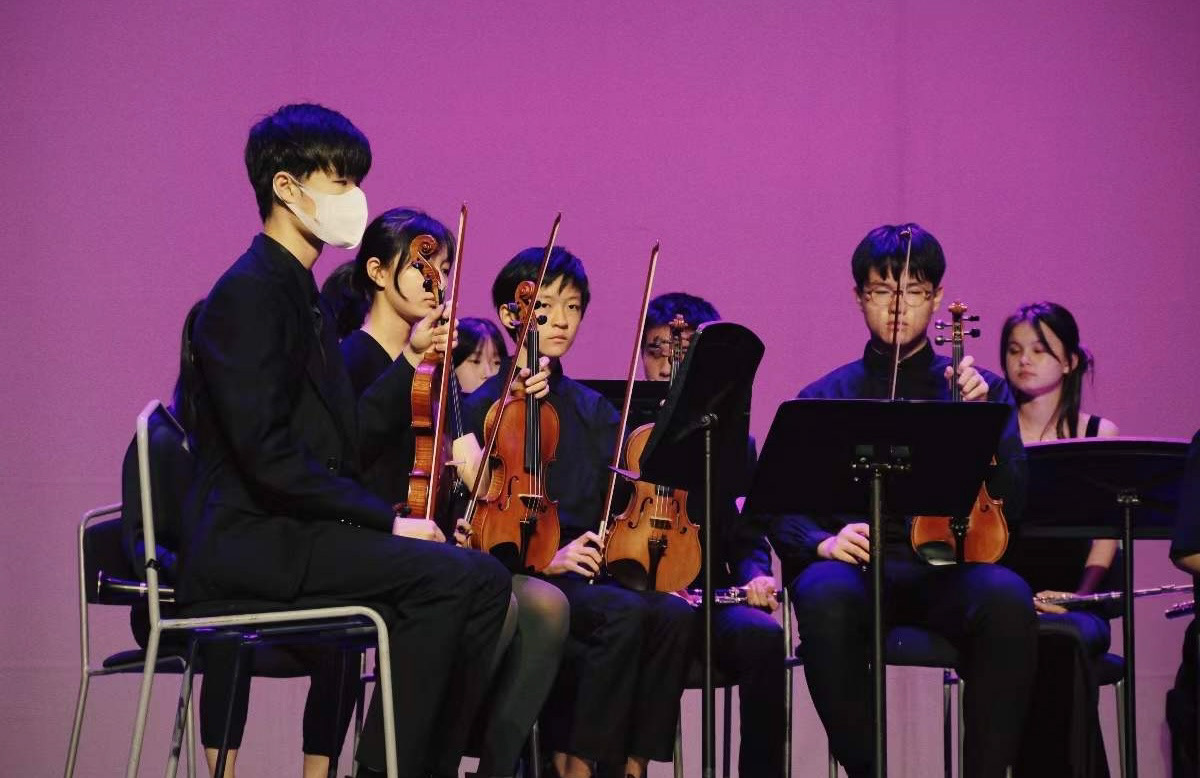 YML Chamber Orchestra