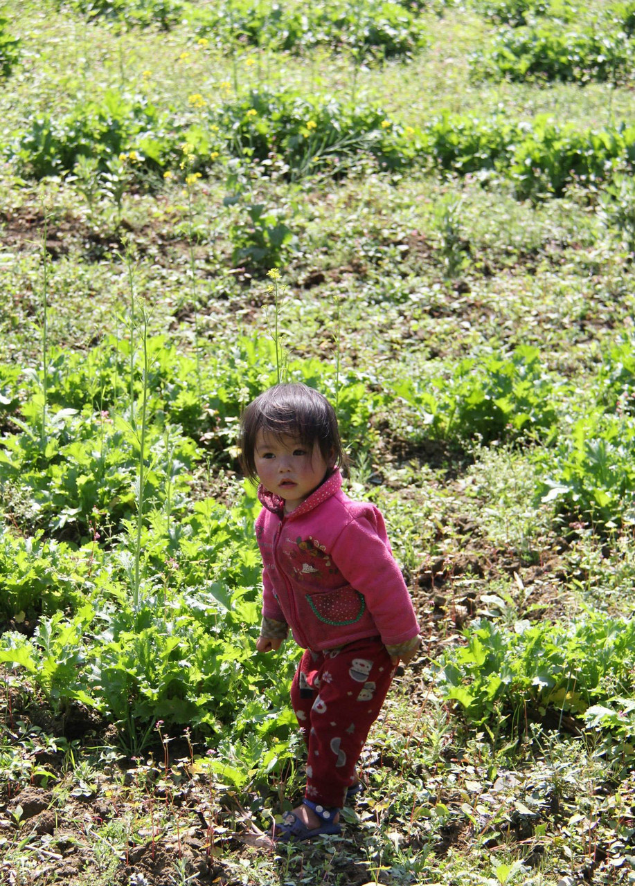 Sapa, Vietnam