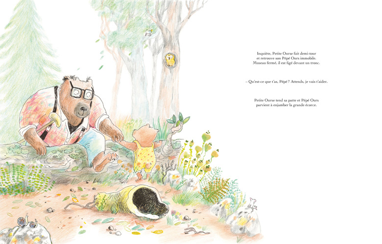 Un nouveau printemps pour Pépé Ours : miel, vieillesse, tendresse (Didier Jeunesse-dès 3 ans)