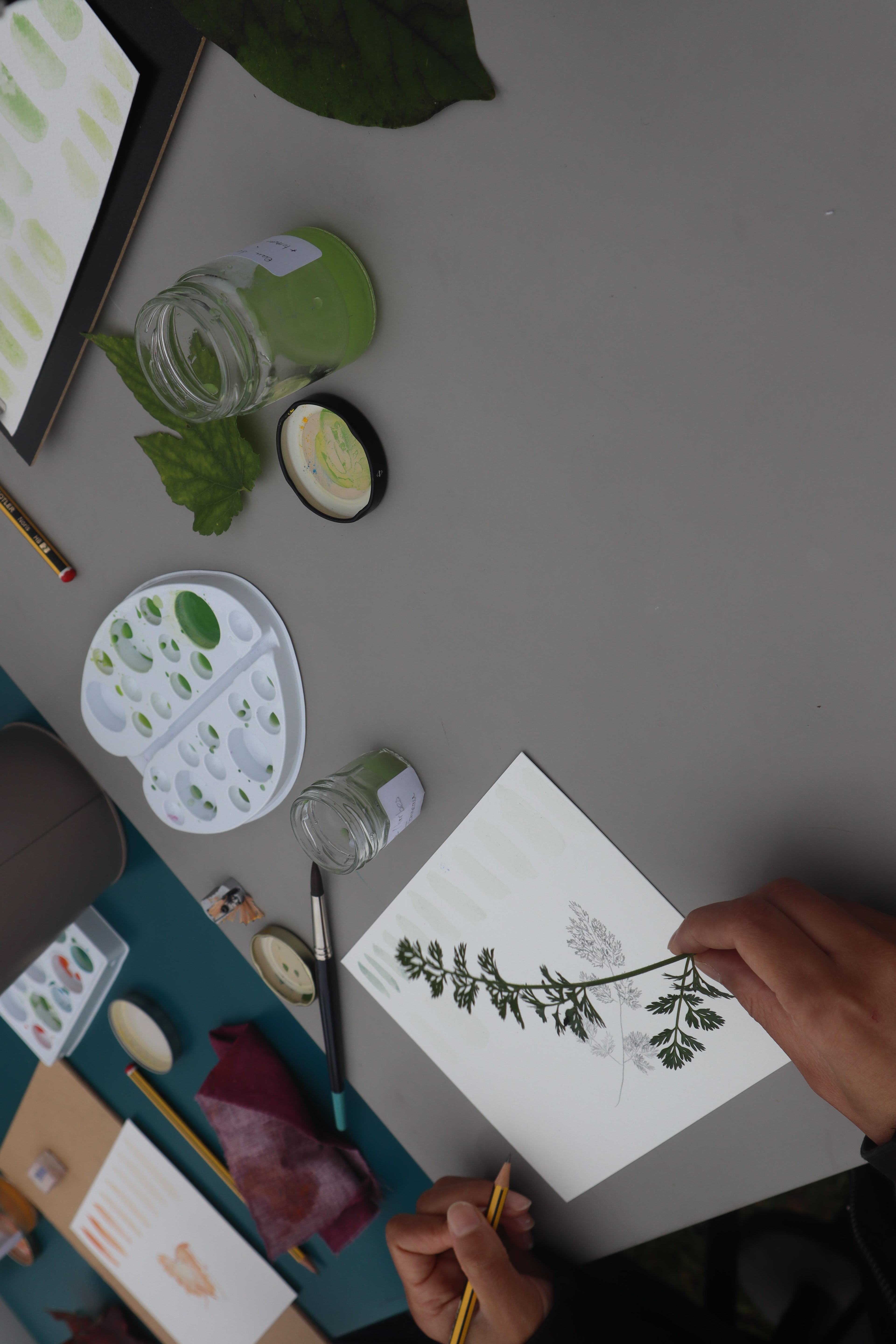 Illustration et aquarelle au jardin