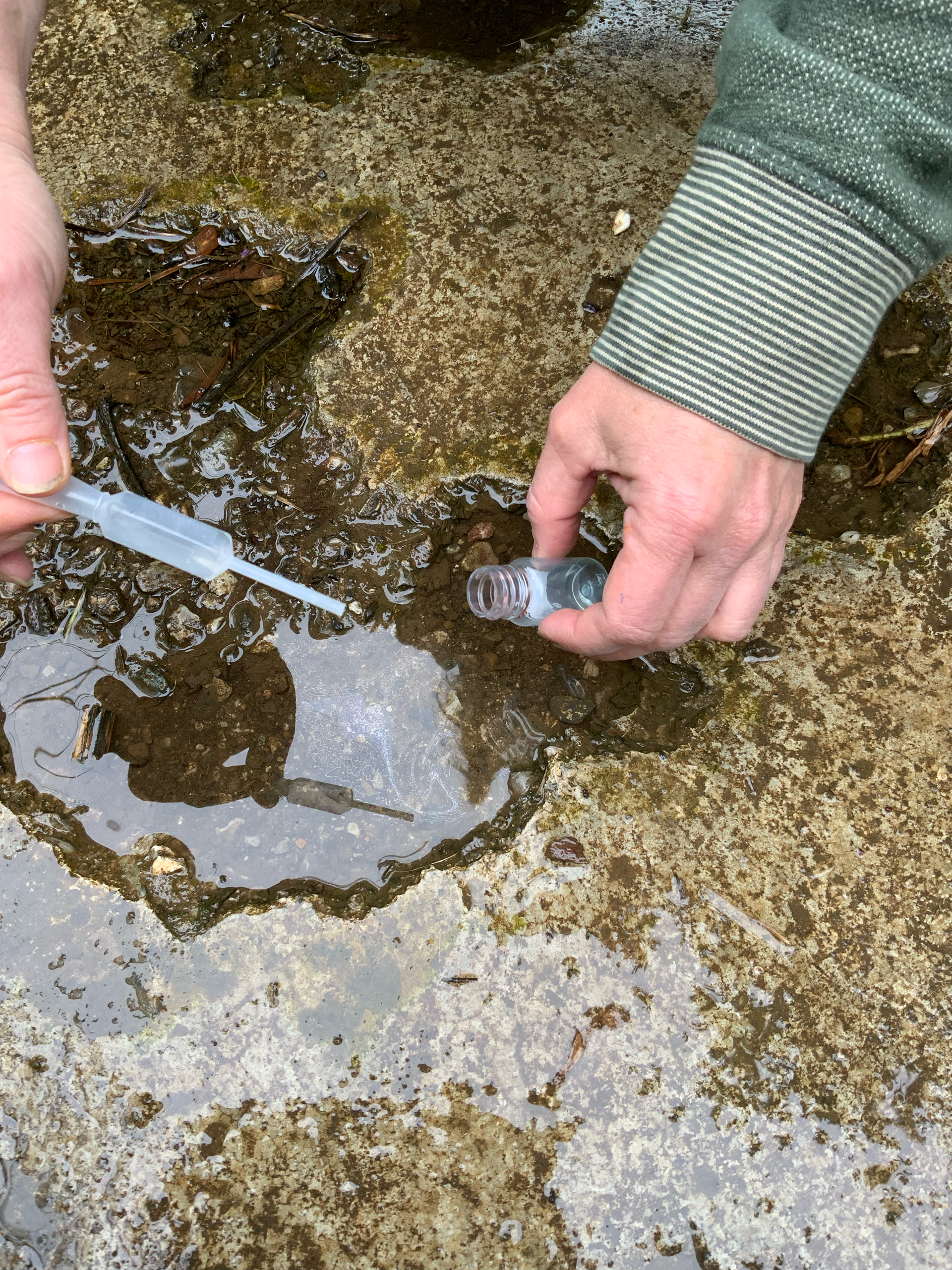 eau-jardin-climat-CPIE