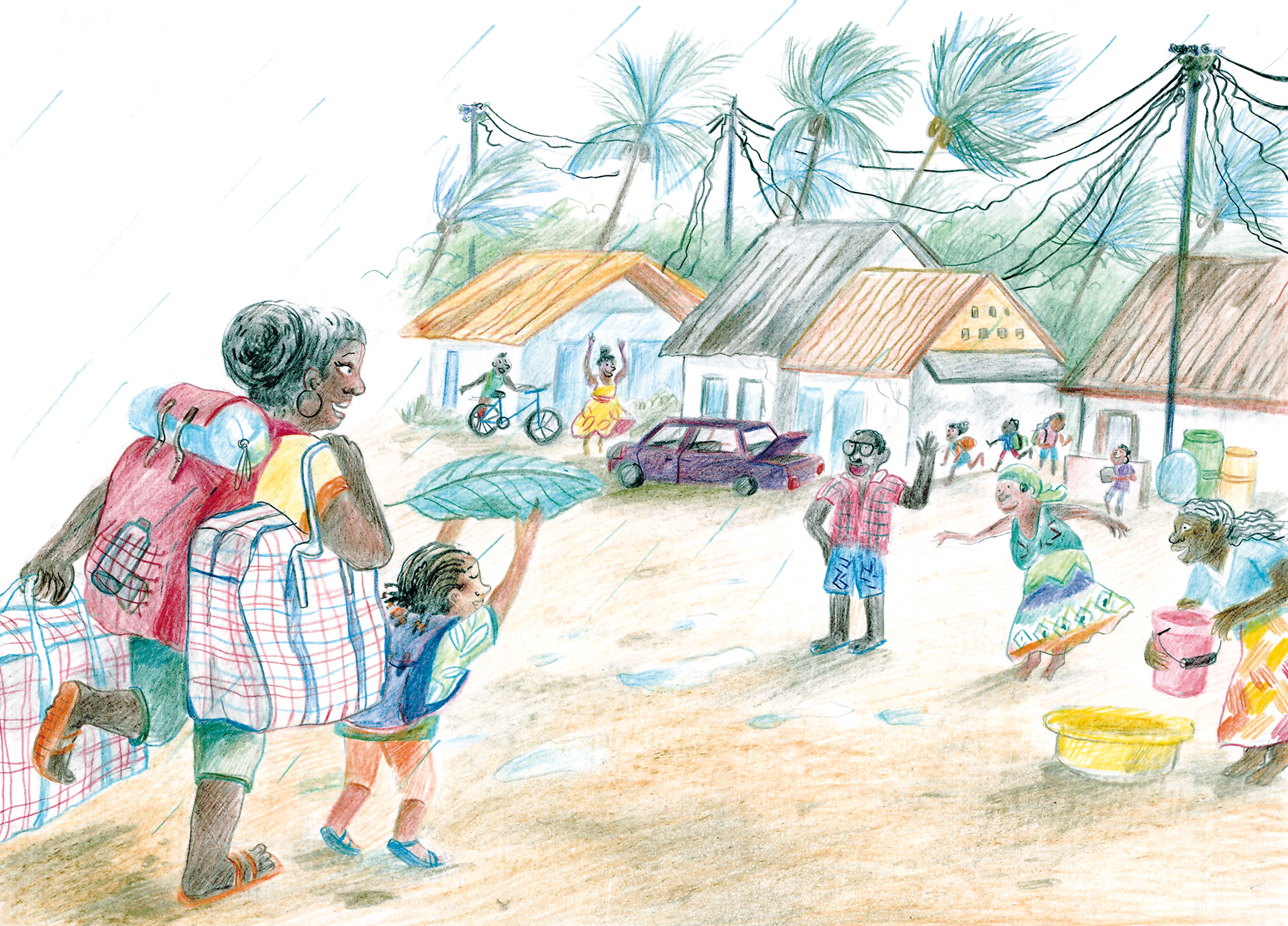 Culture du Cacao- Association le GRAD-S