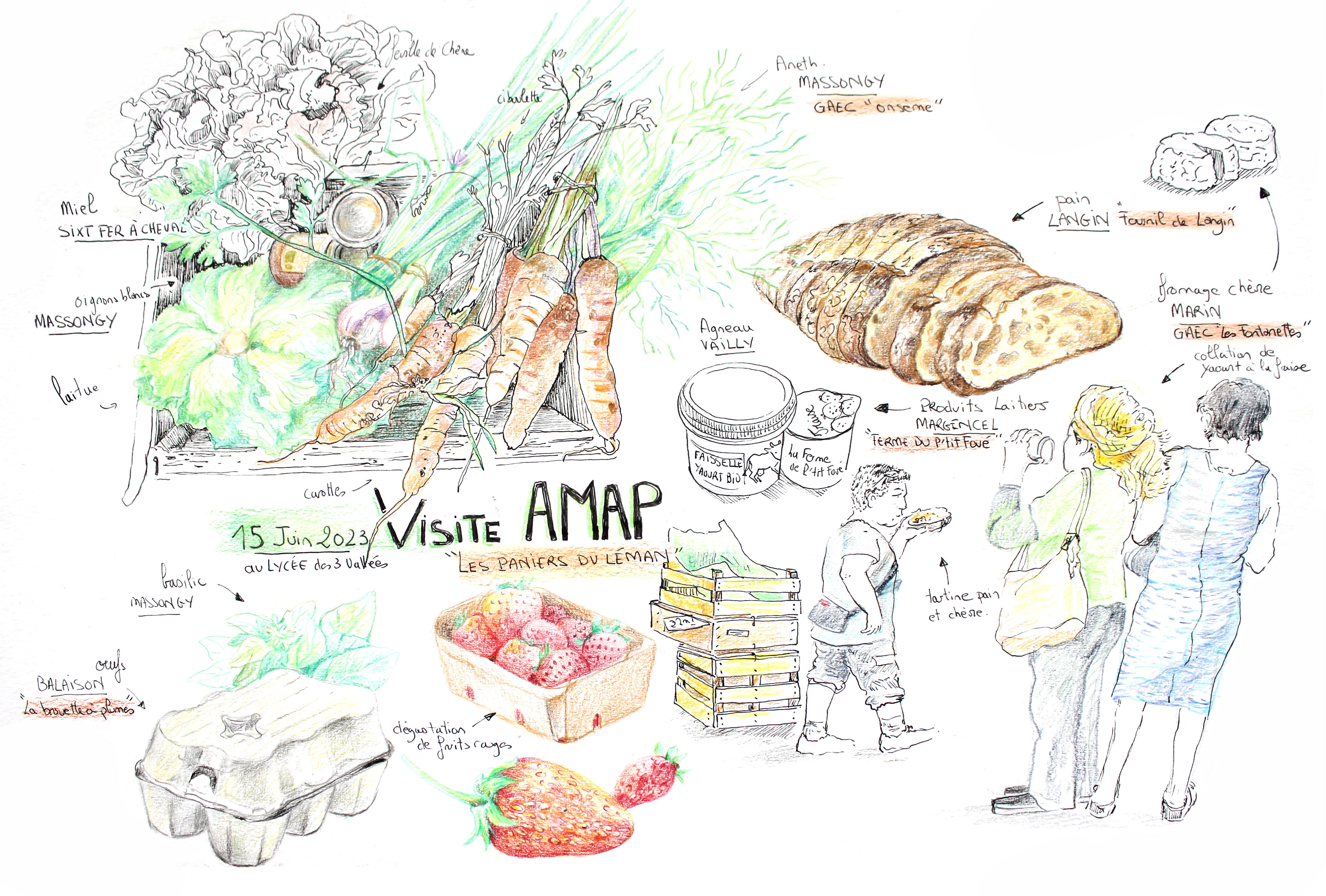 Alimentation durable dans les quartiers.