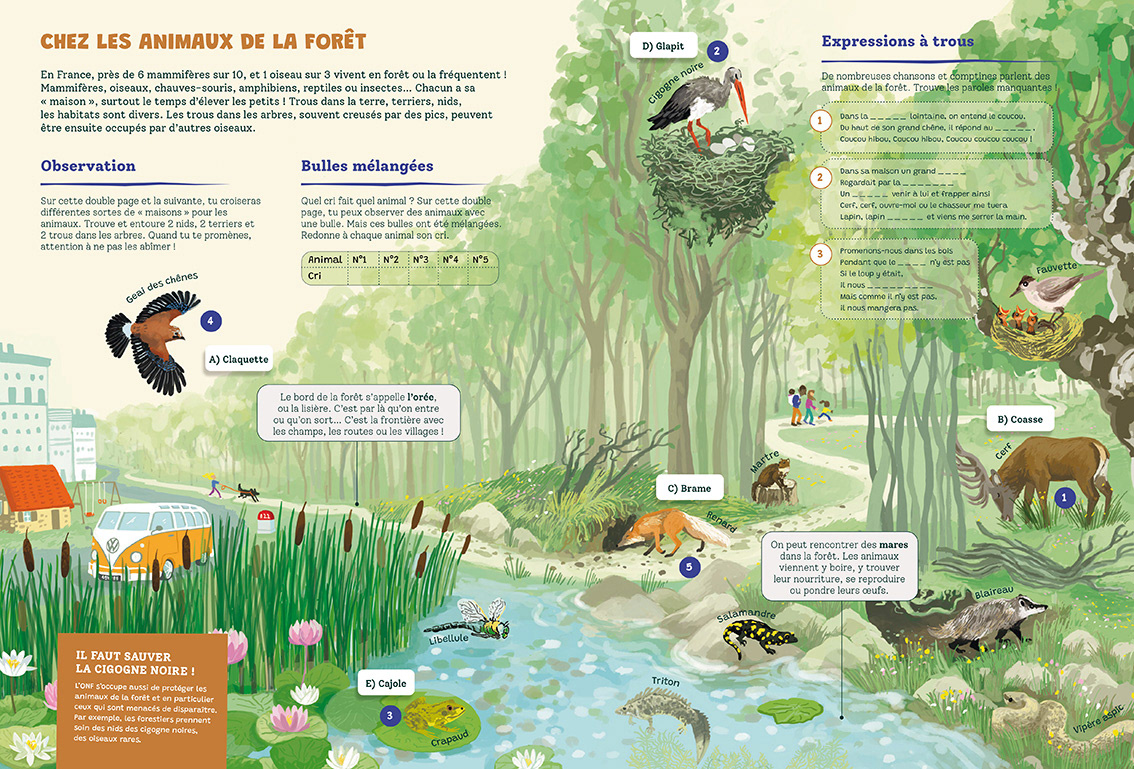 Mon cahier de forêt : documentaire, livre d'activité (dès 7 ans-Glénat + ONF)