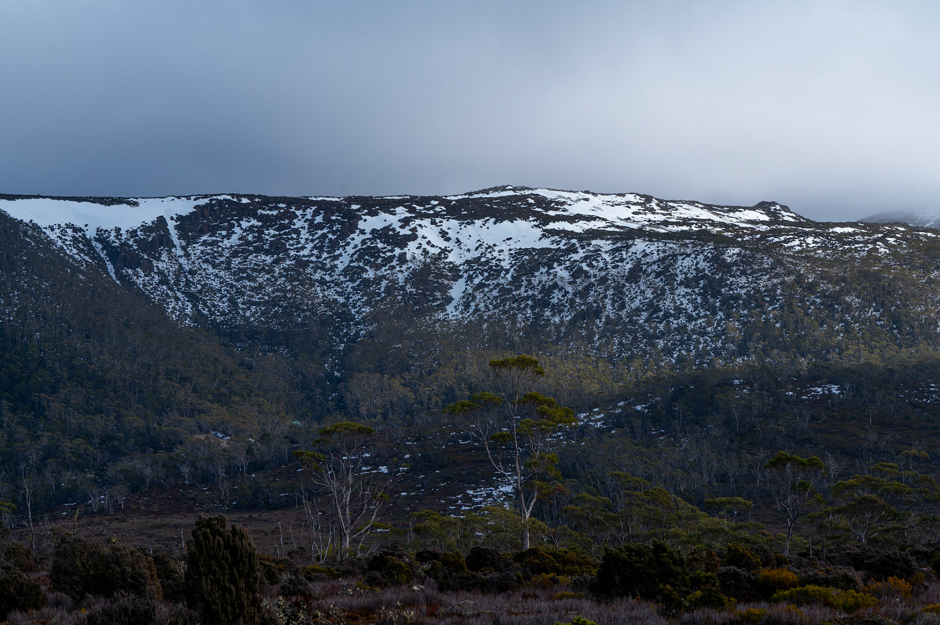 Mount Field National Park, Tasmania