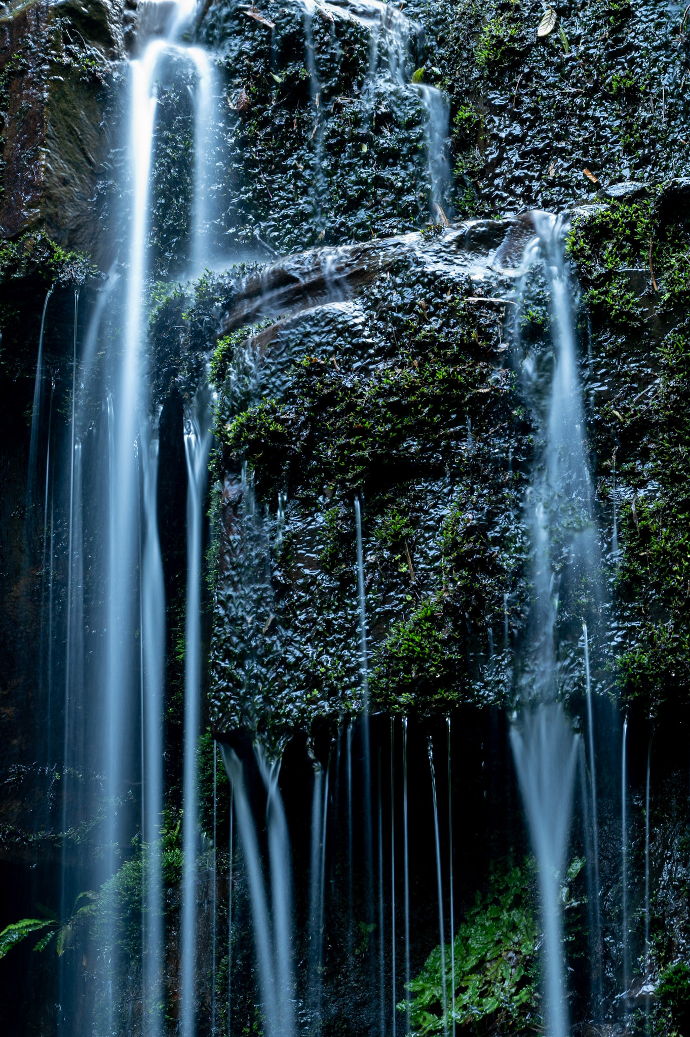 Silver Falls, Wellington Park, Tasmania