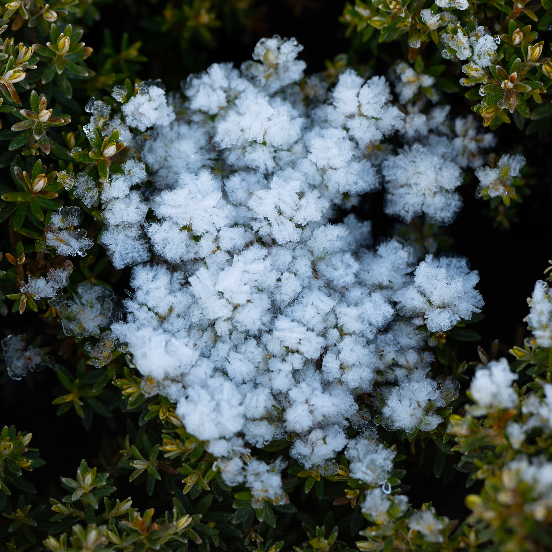 Mount Wellington, Tasmania