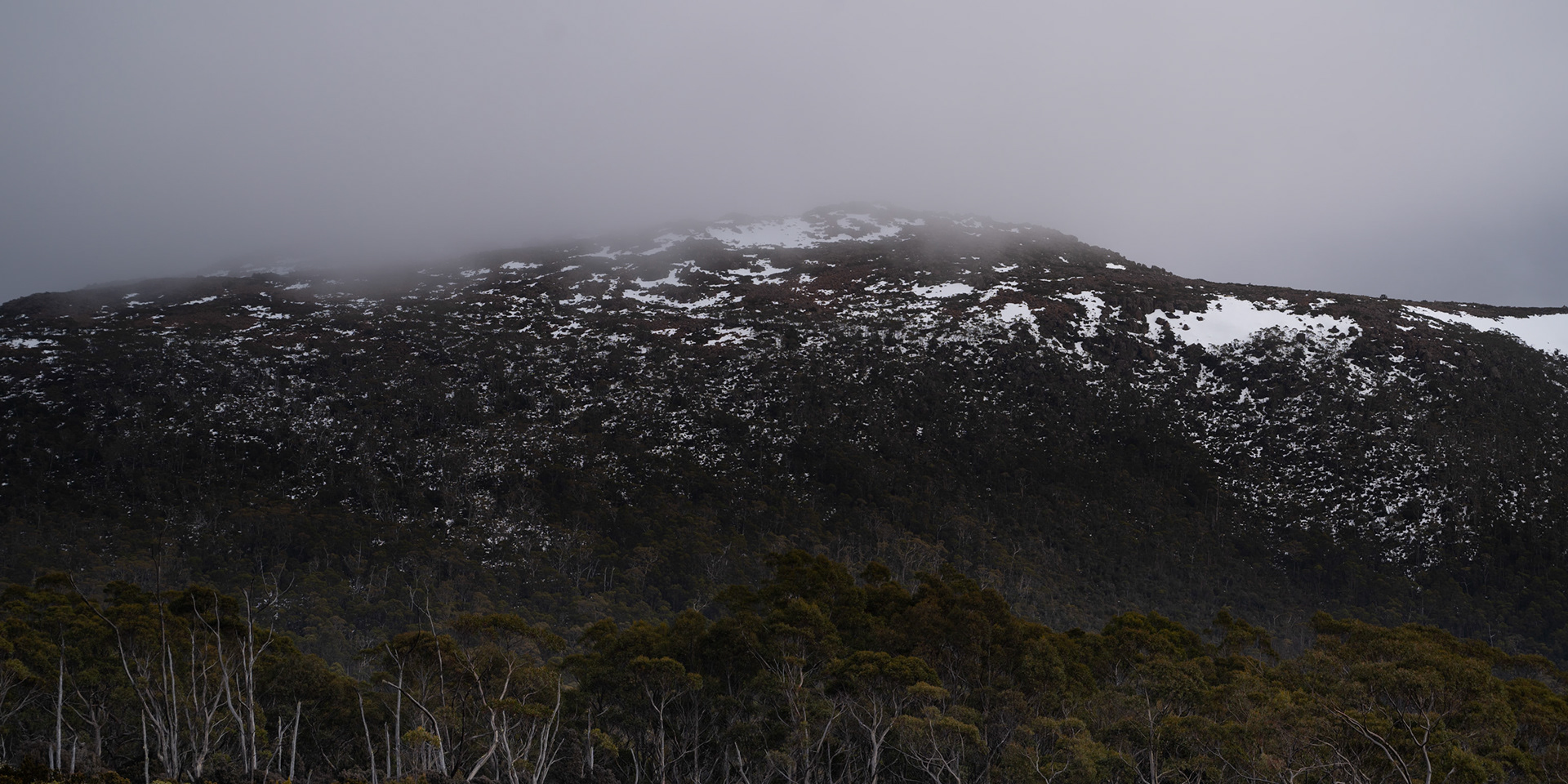 Mount Field National Park, Tasmania