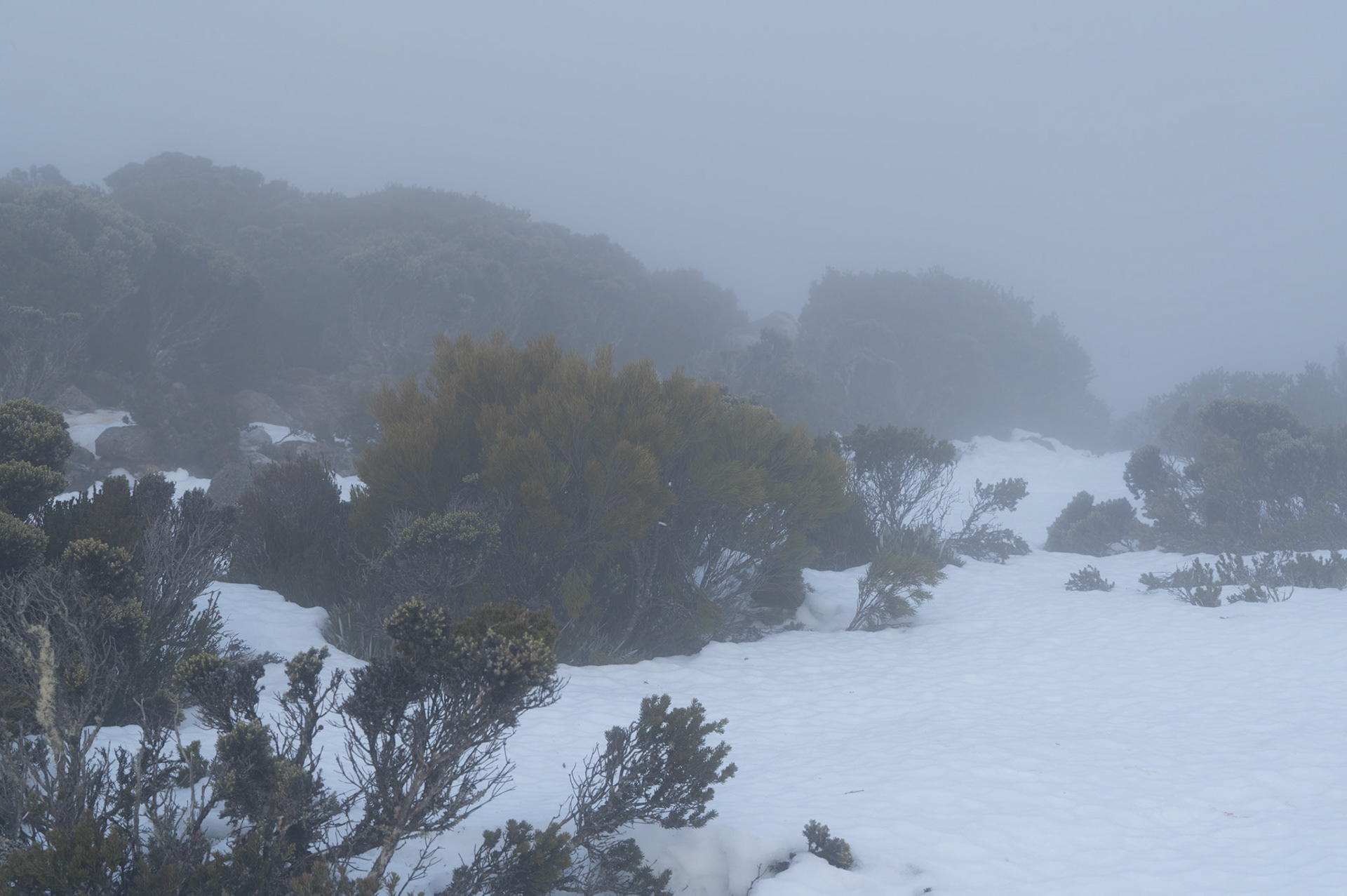 Mount Wellington, Tasmania