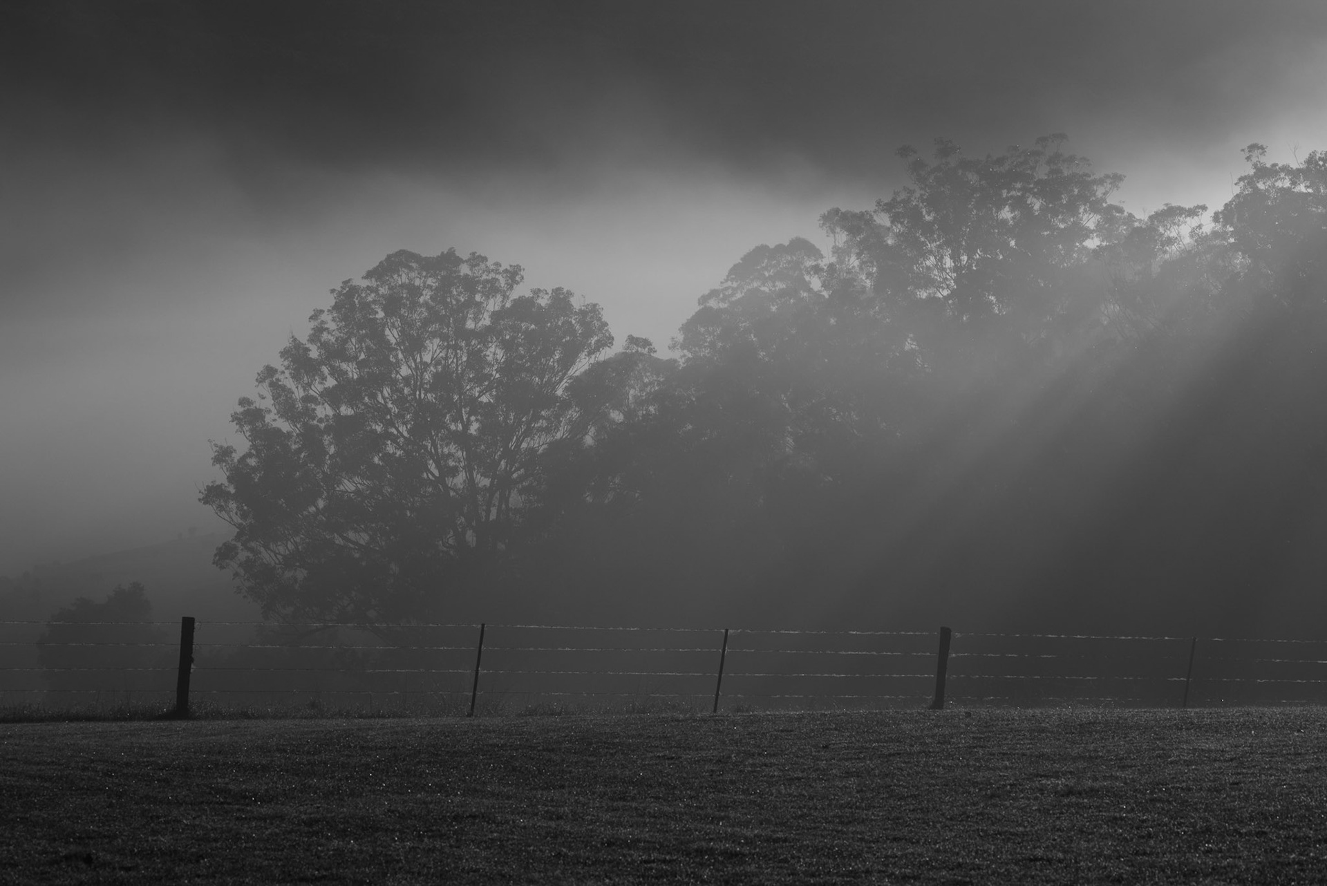 Foggy Morning, Kangaroo Valley