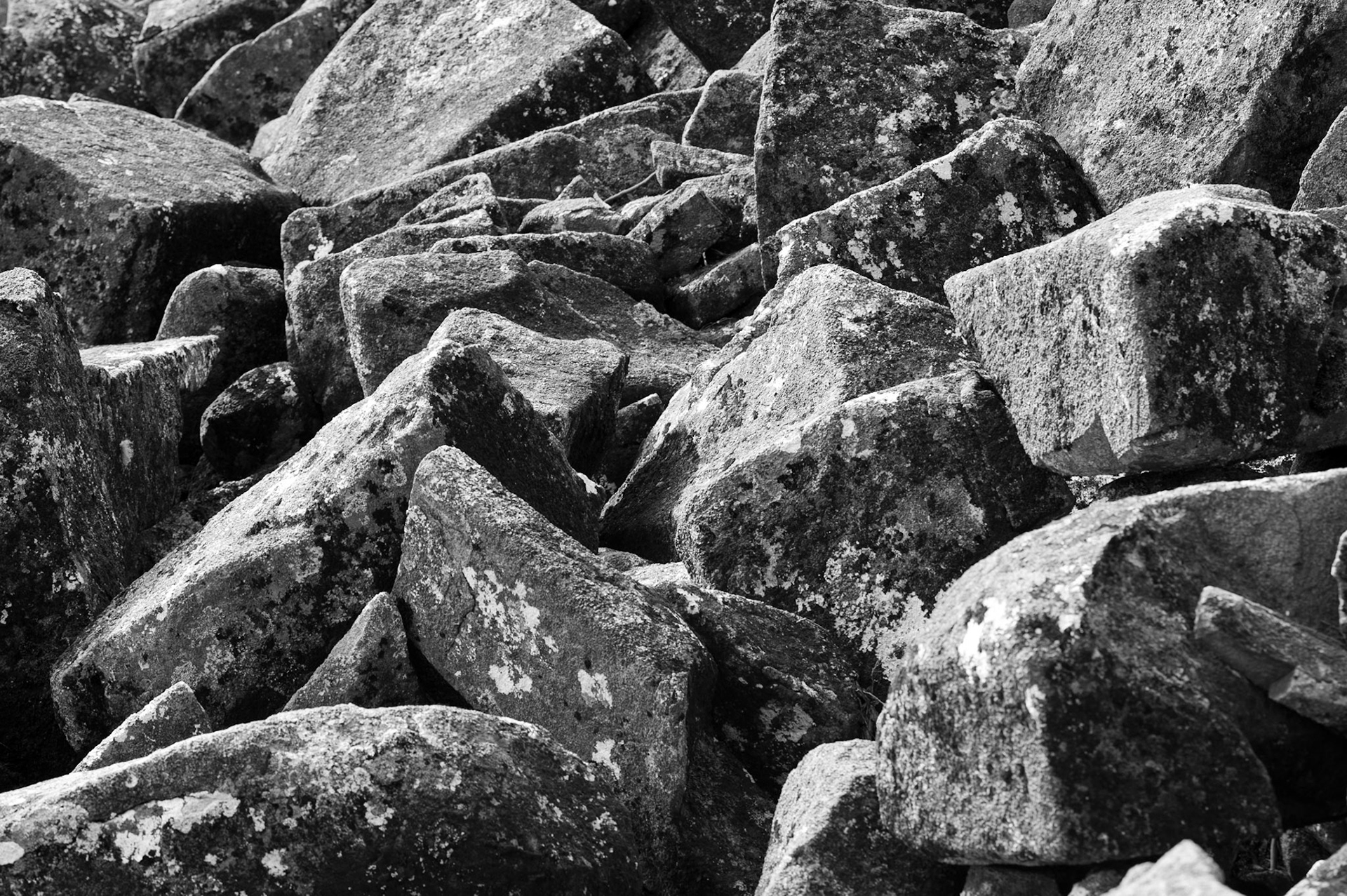 Mount Wellington, Tasmania