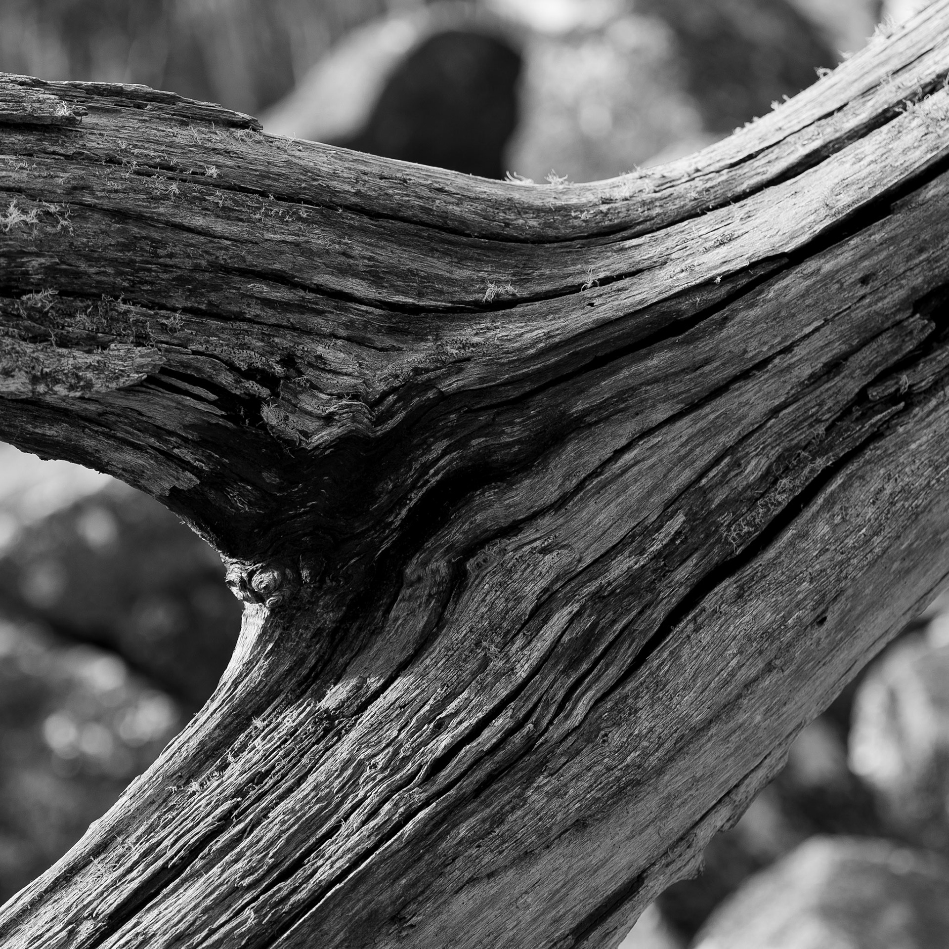 Mount Wellington, Tasmania
