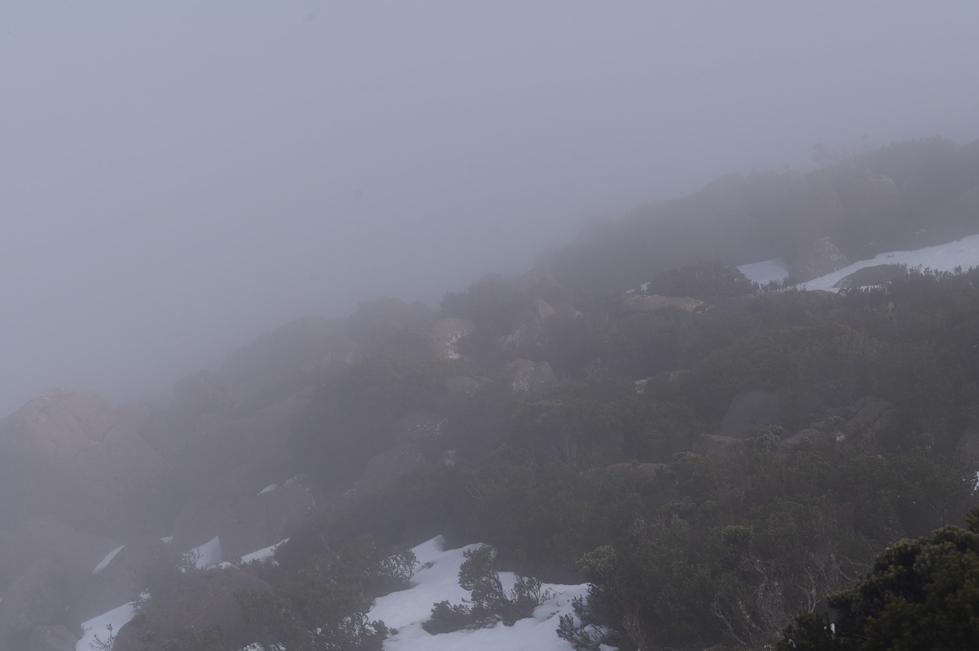 Mount Wellington, Tasmania