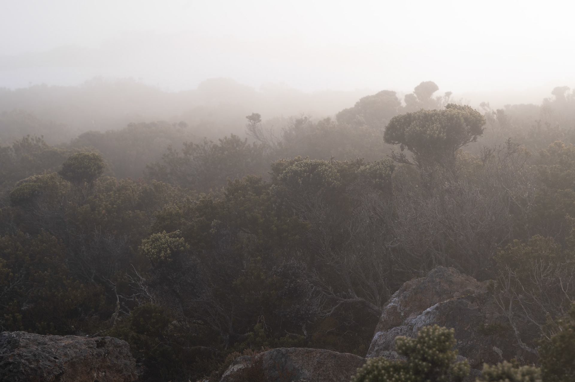 Mount Wellington, Tasmania