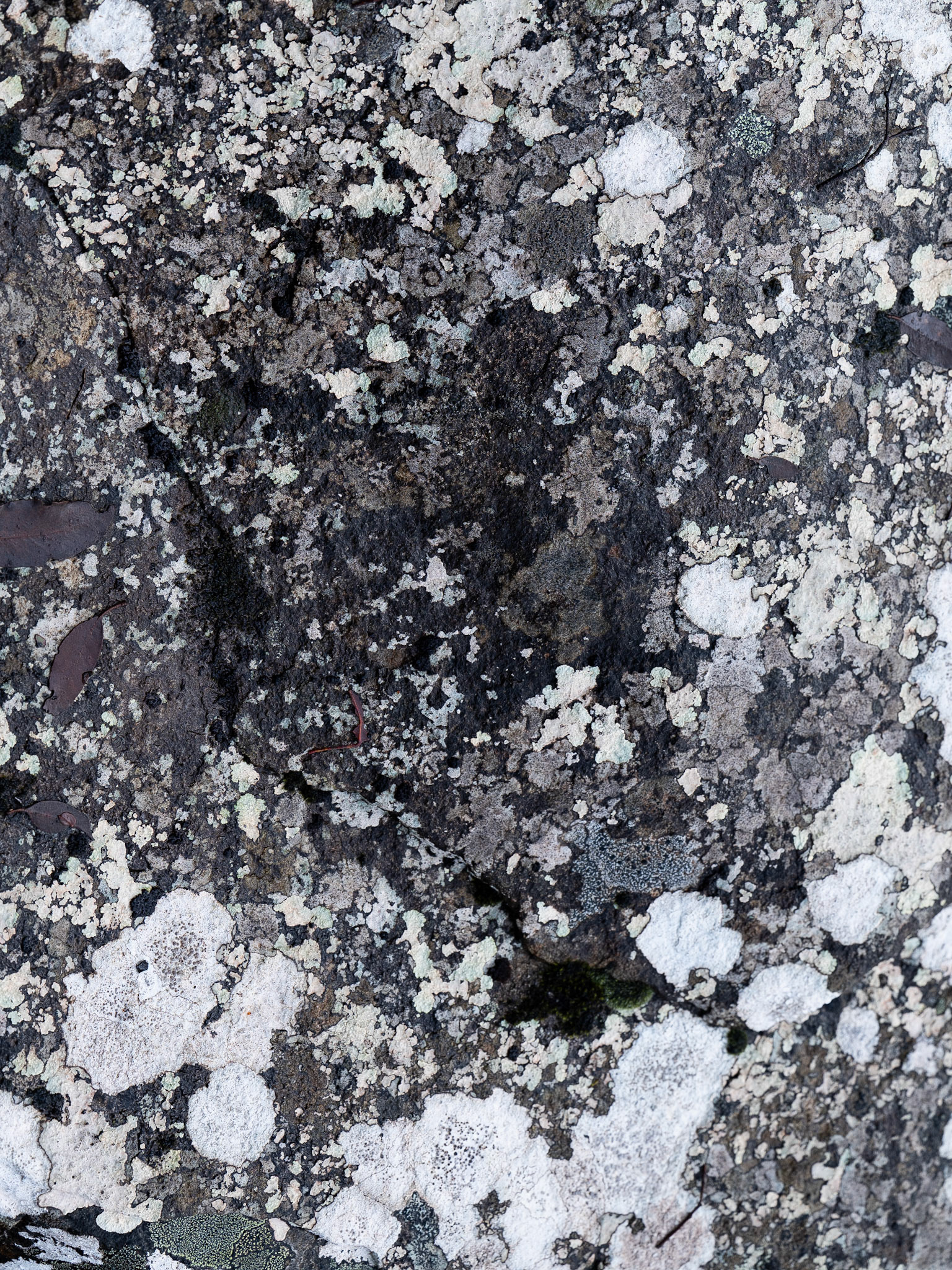 Mount Wellington, Tasmania