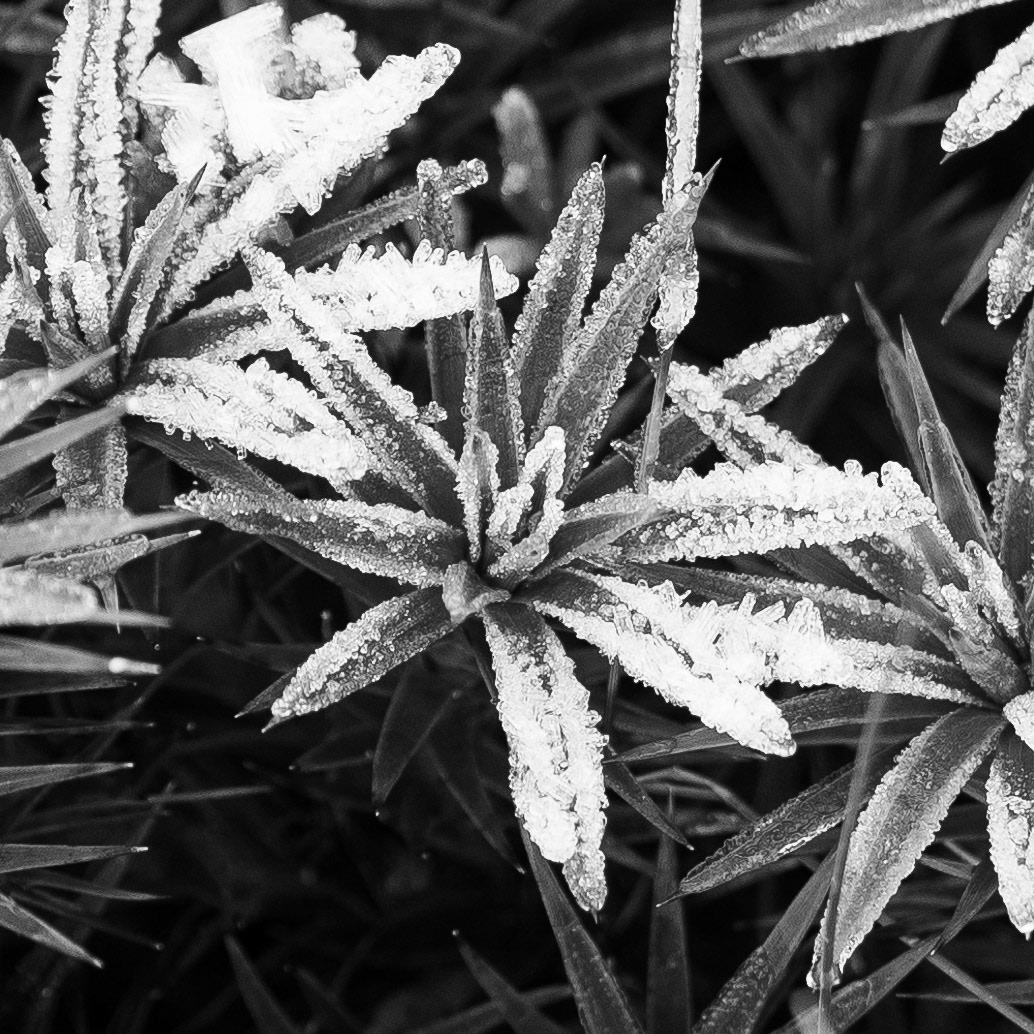 Mount Wellington, Tasmania