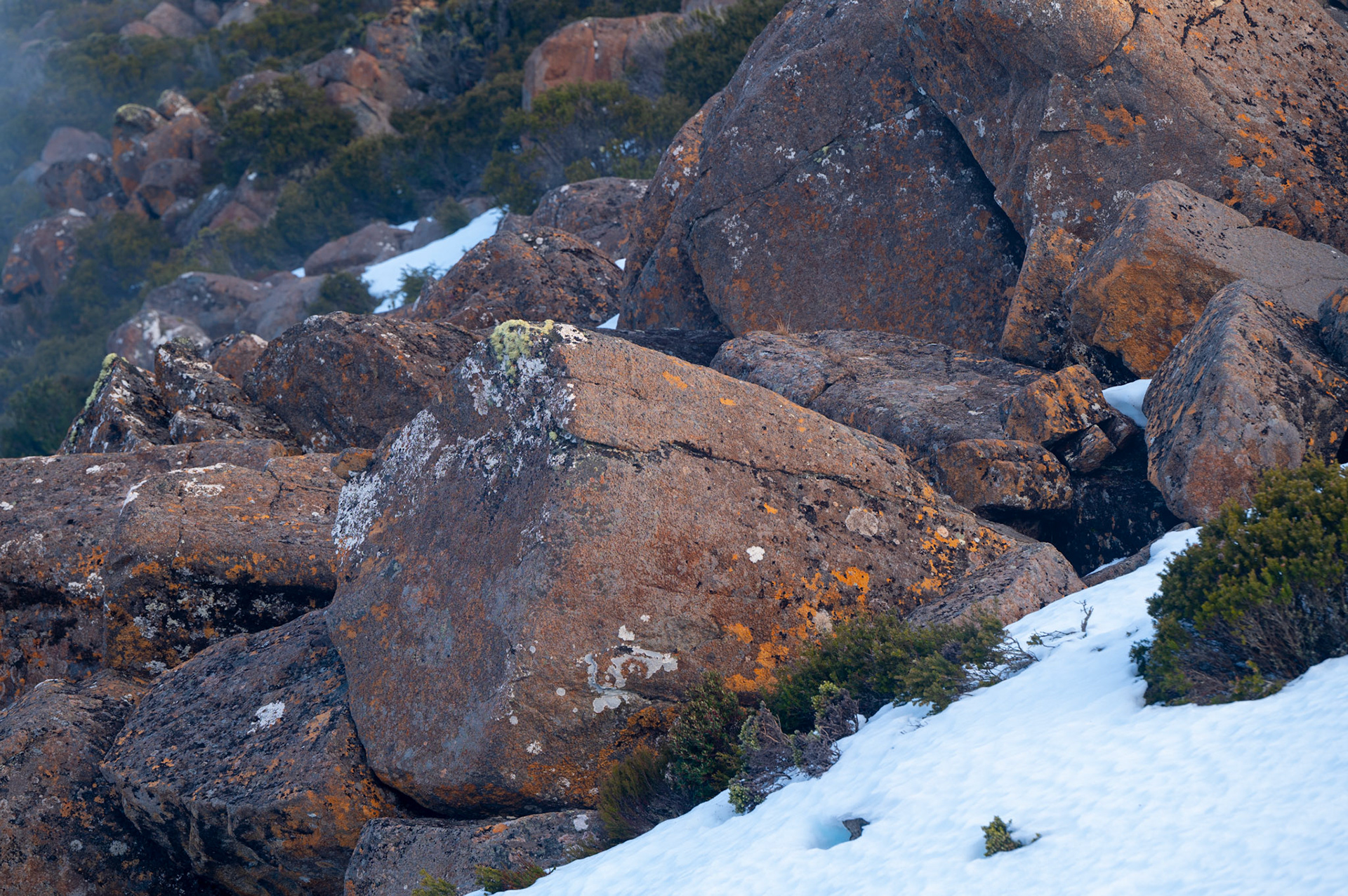 Mount Wellington, Tasmania