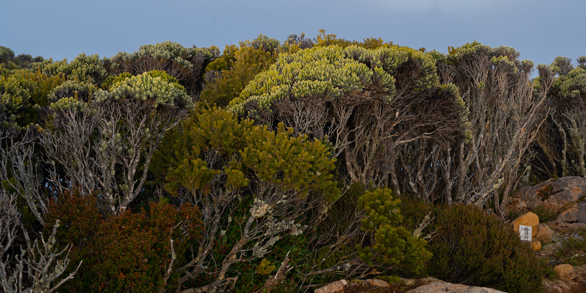 Mount Wellington, Tasmania