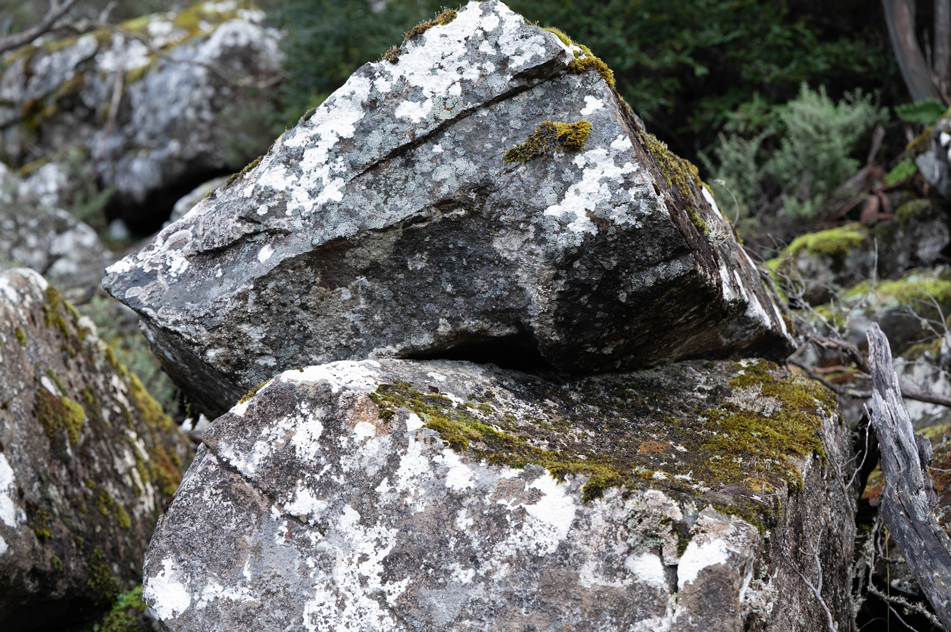 Mount Wellington, Tasmania