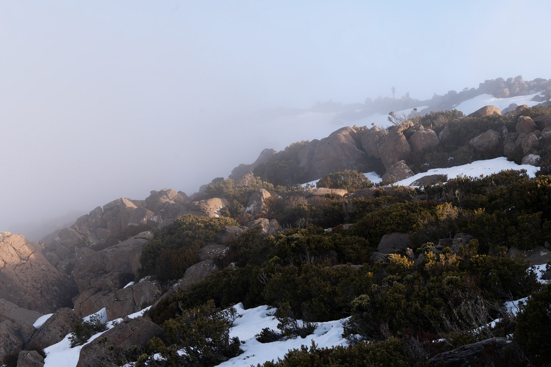 Mount Wellington, Tasmania