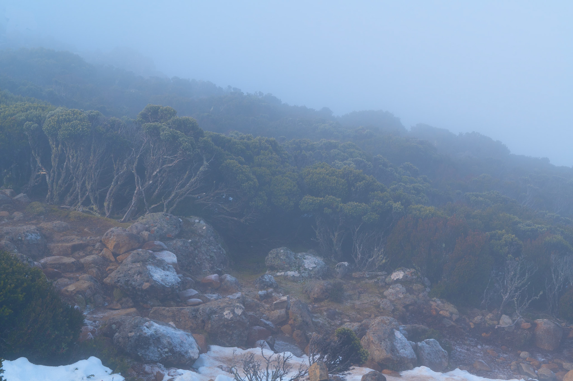 Mount Wellington, Tasmania