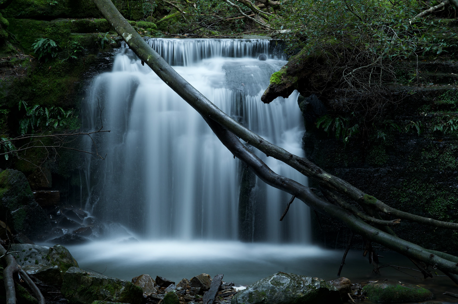 Strickland Falls, Wellington Park, Tasmania