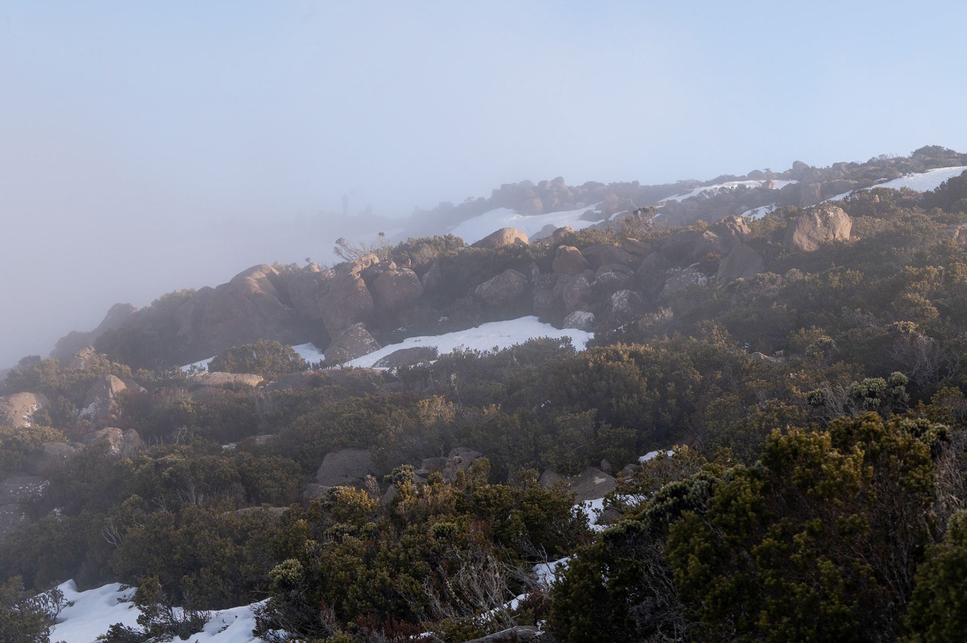 Mount Wellington, Tasmania