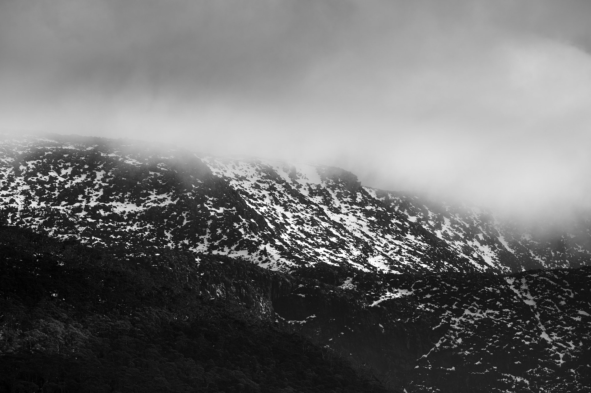 Mount Field National Park, Tasmania