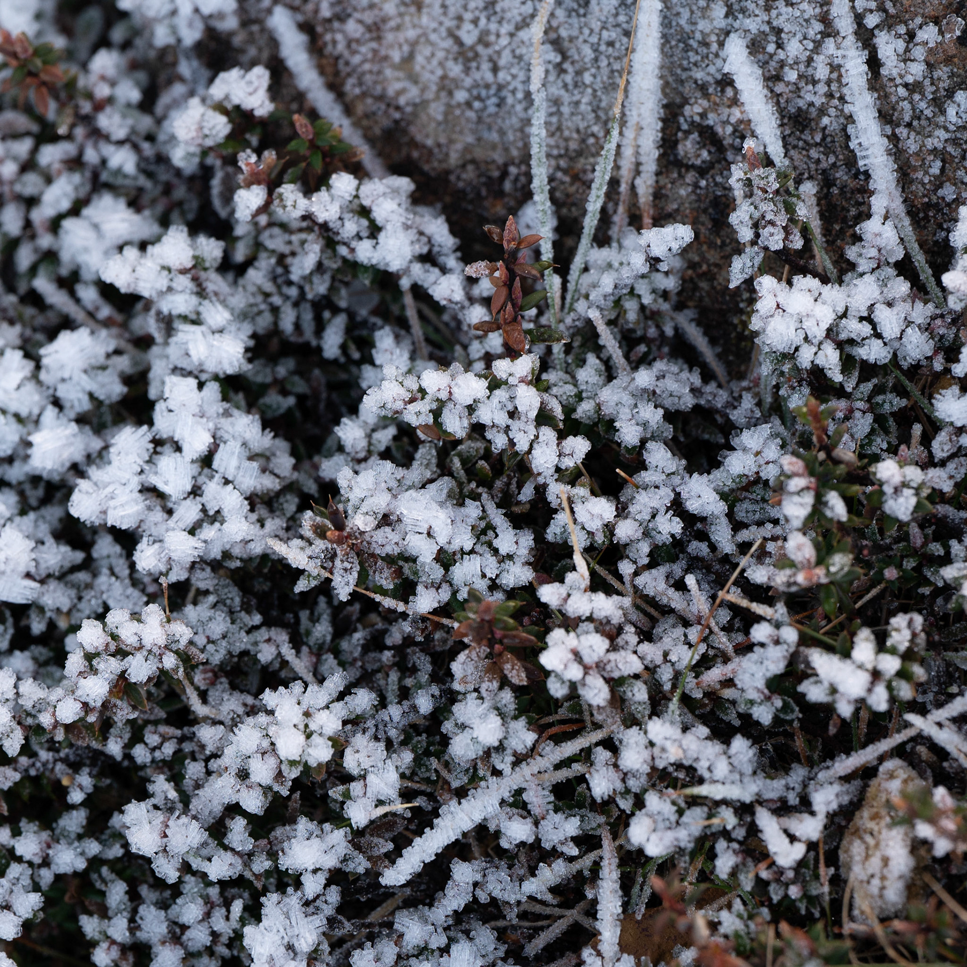 Mount Wellington, Tasmania