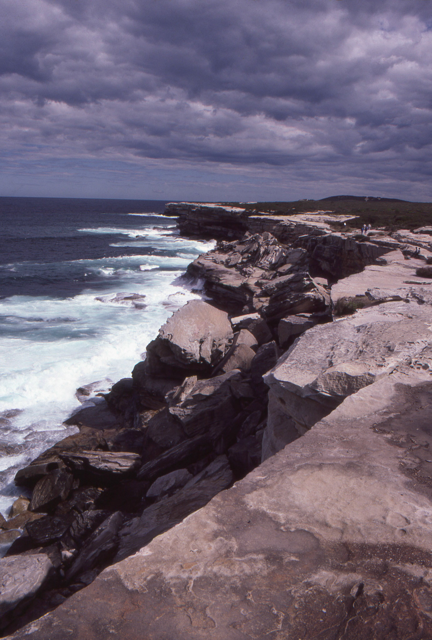 Cliffs II, Kurnell, NSW