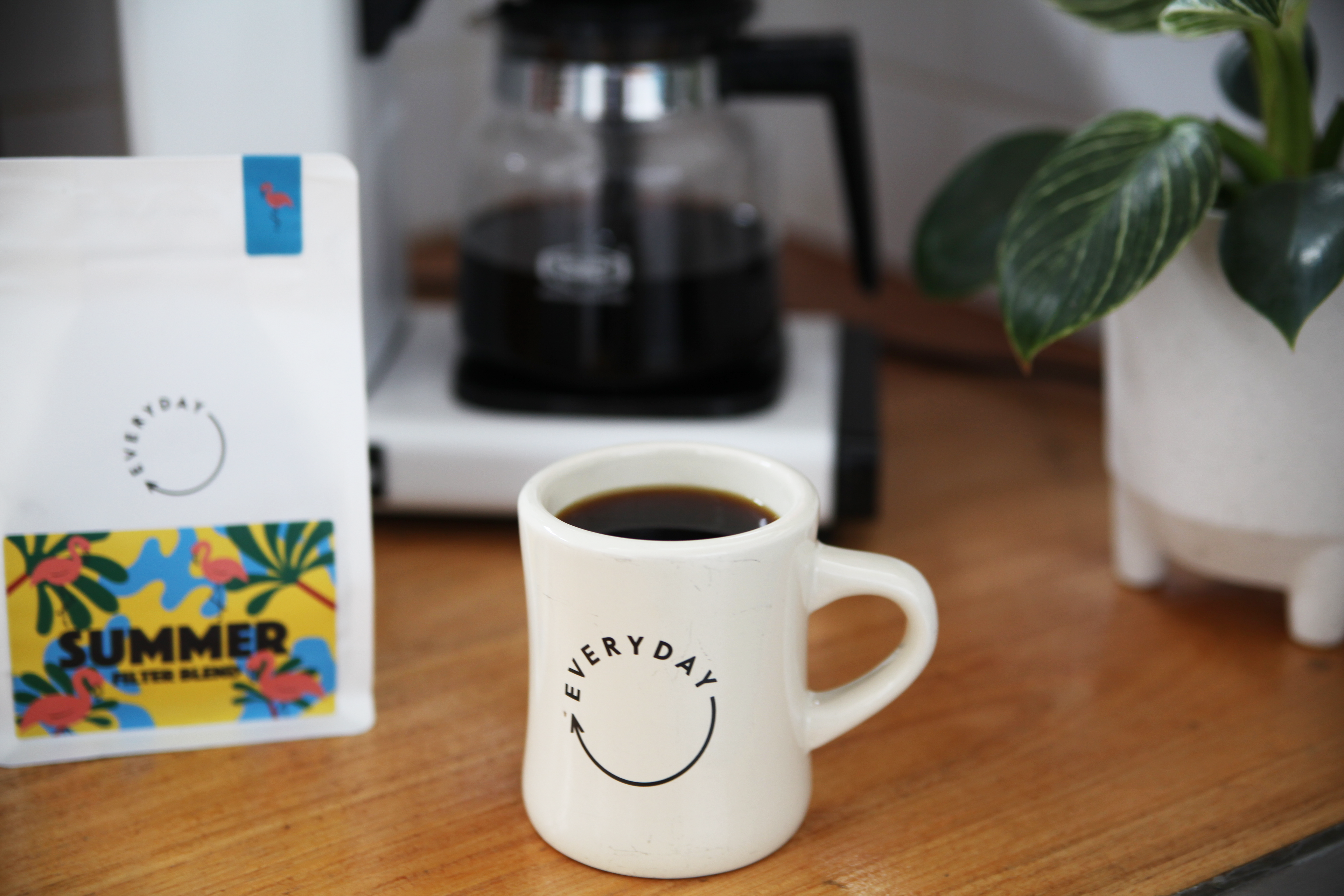 Summer Filter Collab for Everyday Coffee