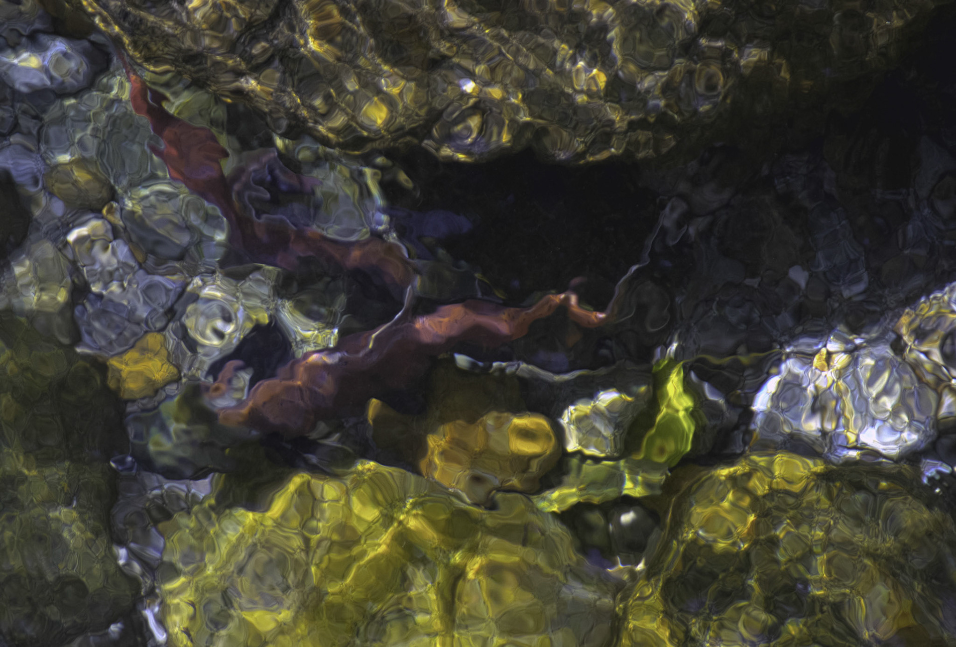 paintings drawings mixed media photography