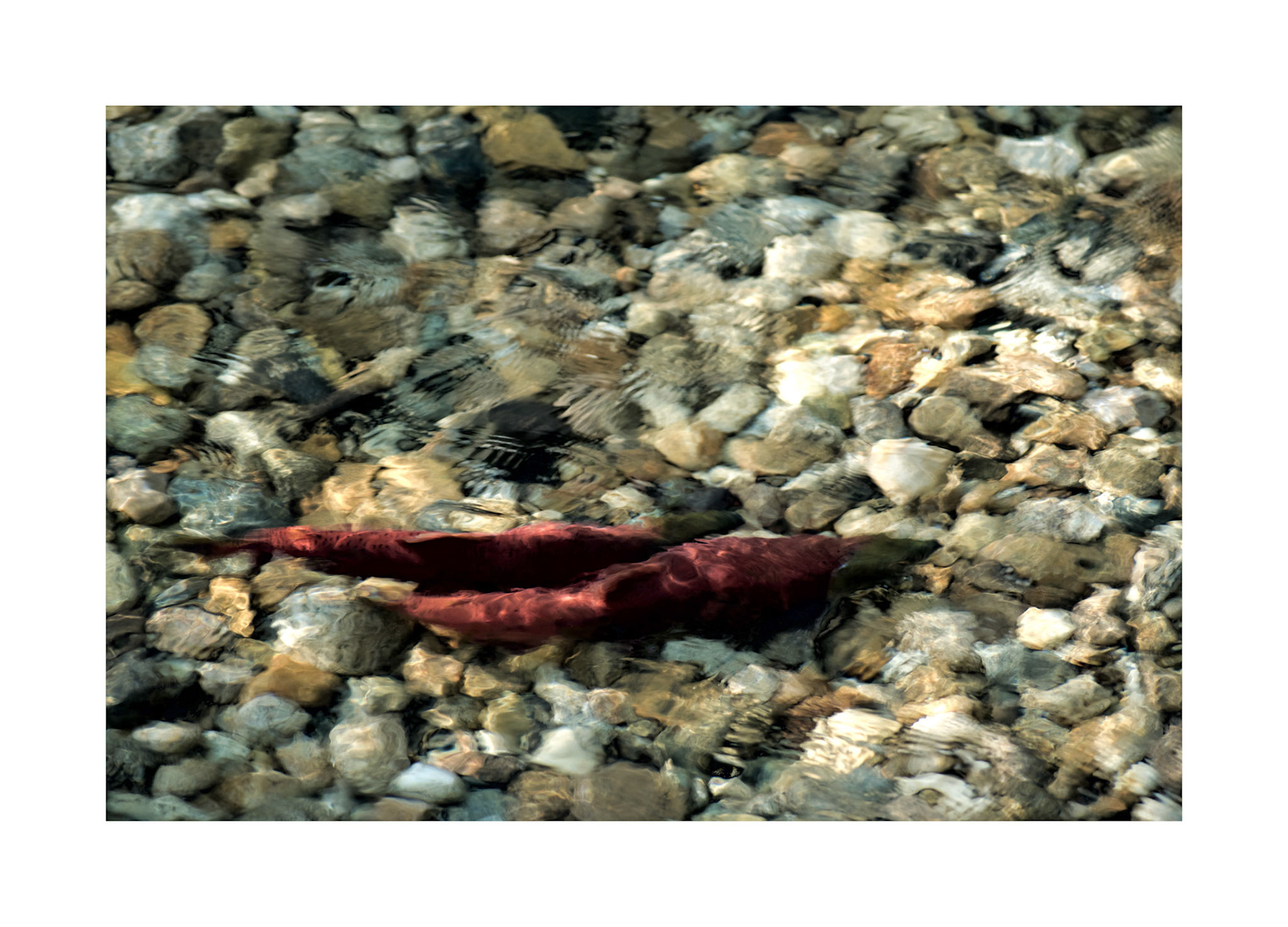 paintings drawings mixed media photography