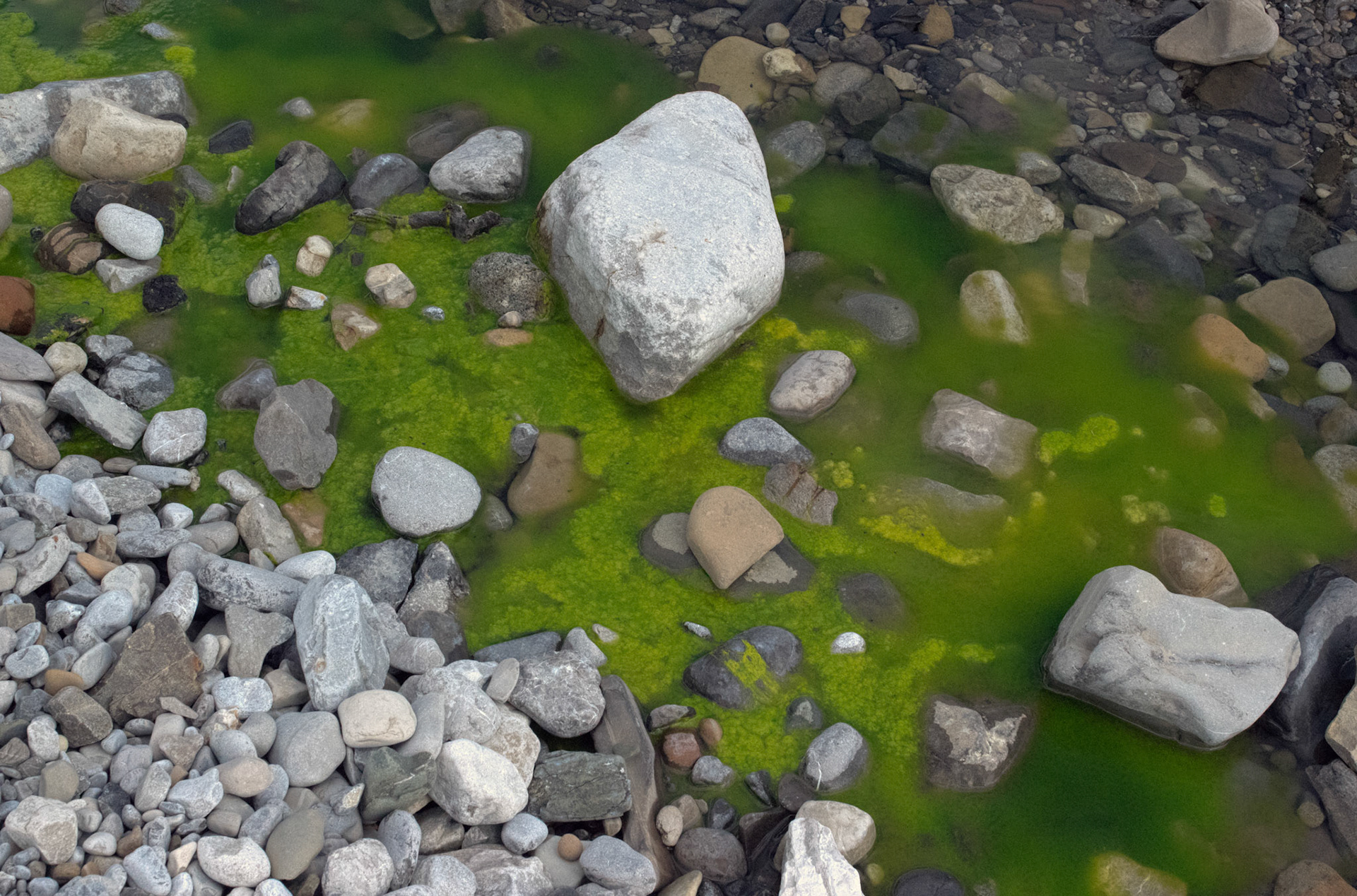 paintings drawings mixed media photography