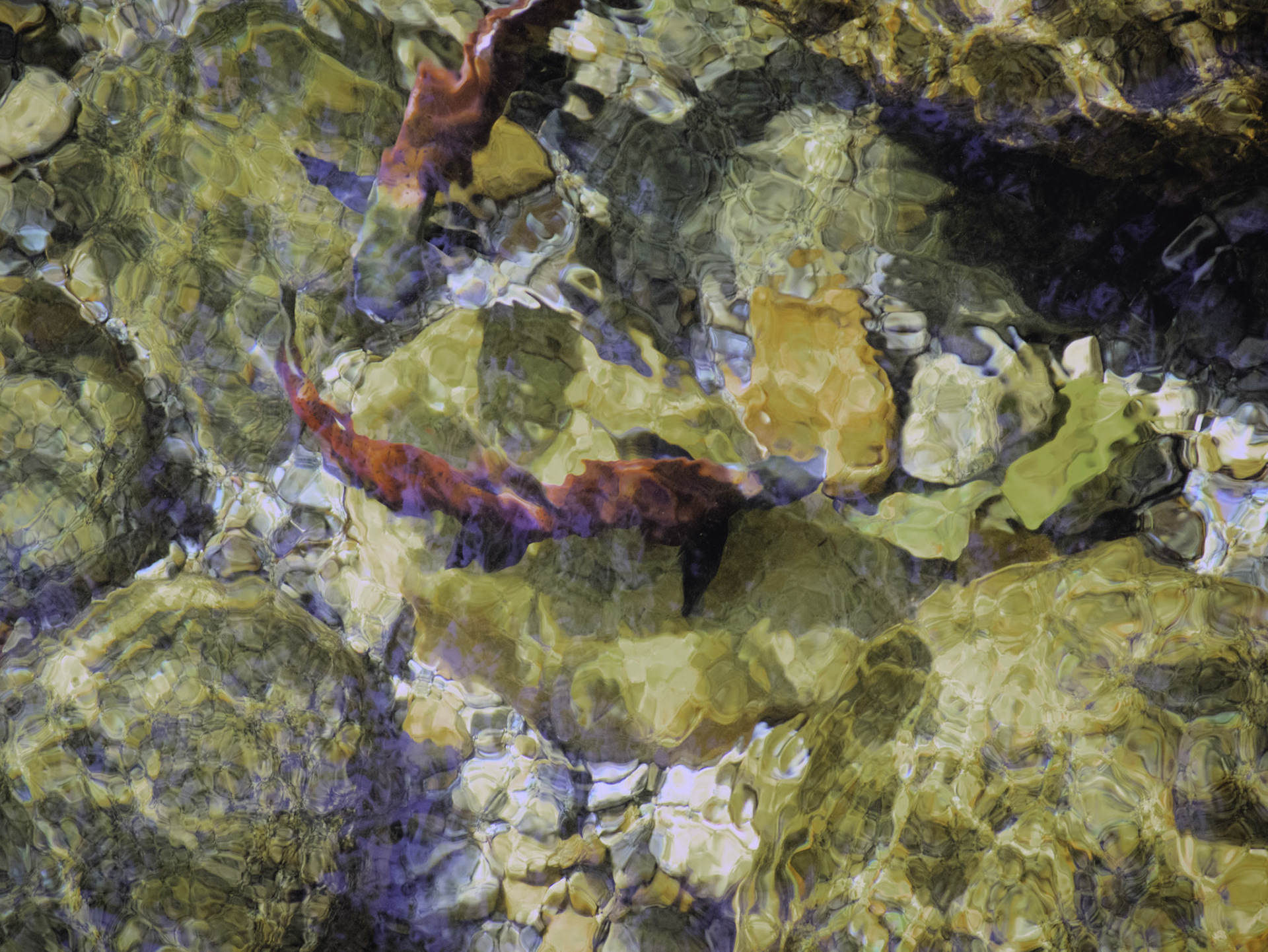 paintings drawings mixed media photography