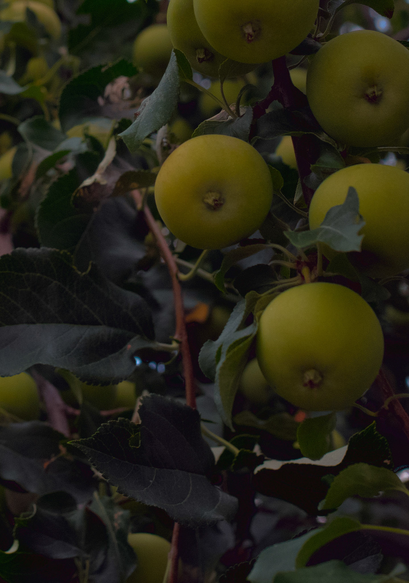 paintings drawings mixed media photography