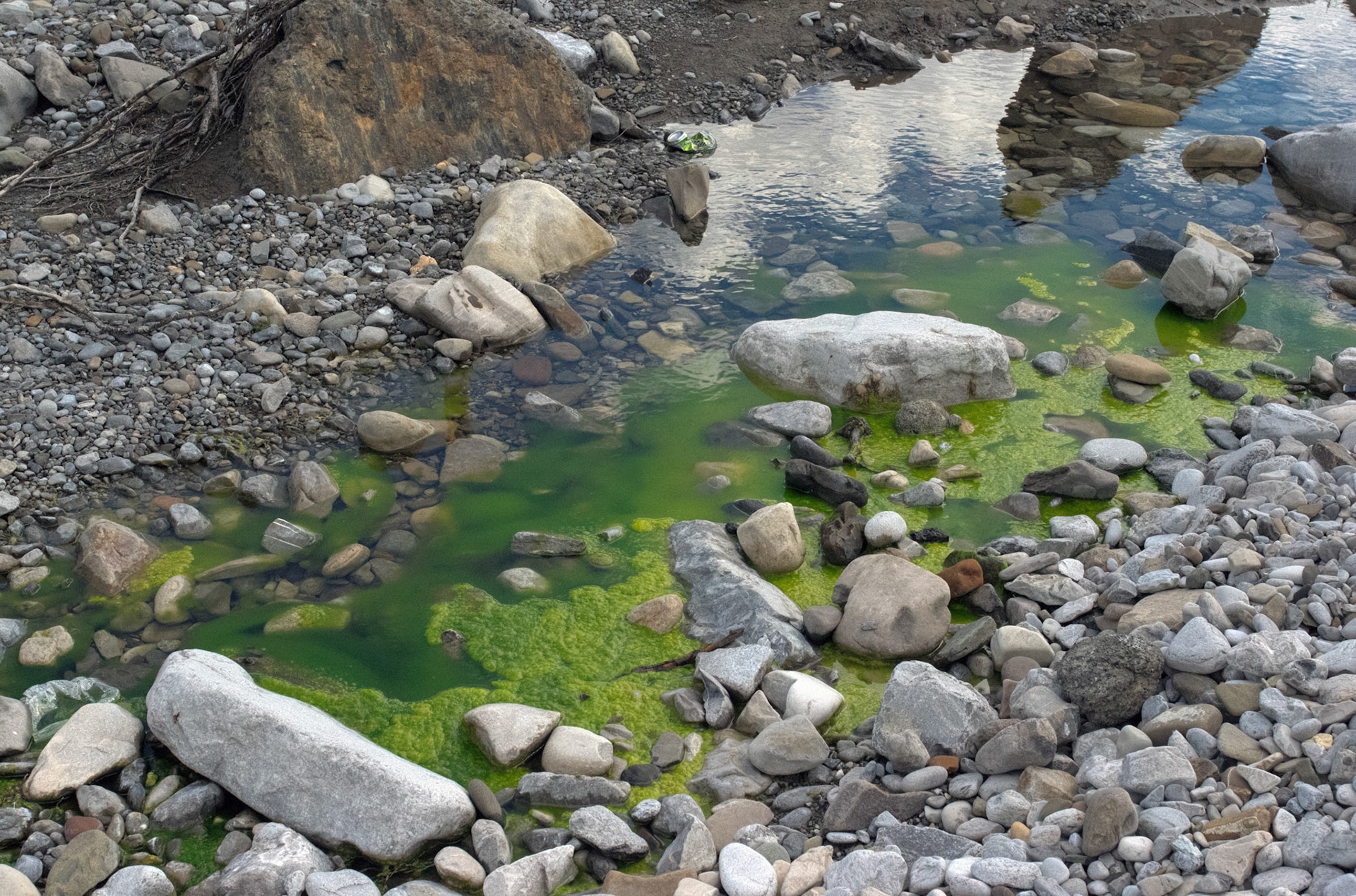 paintings drawings mixed media photography