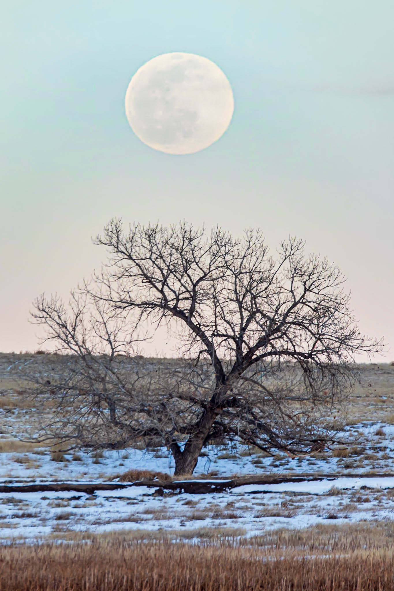 RMA full moonrise