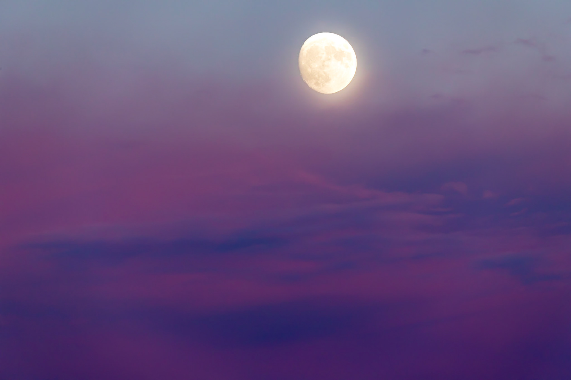 Moonrise in a sea of pink